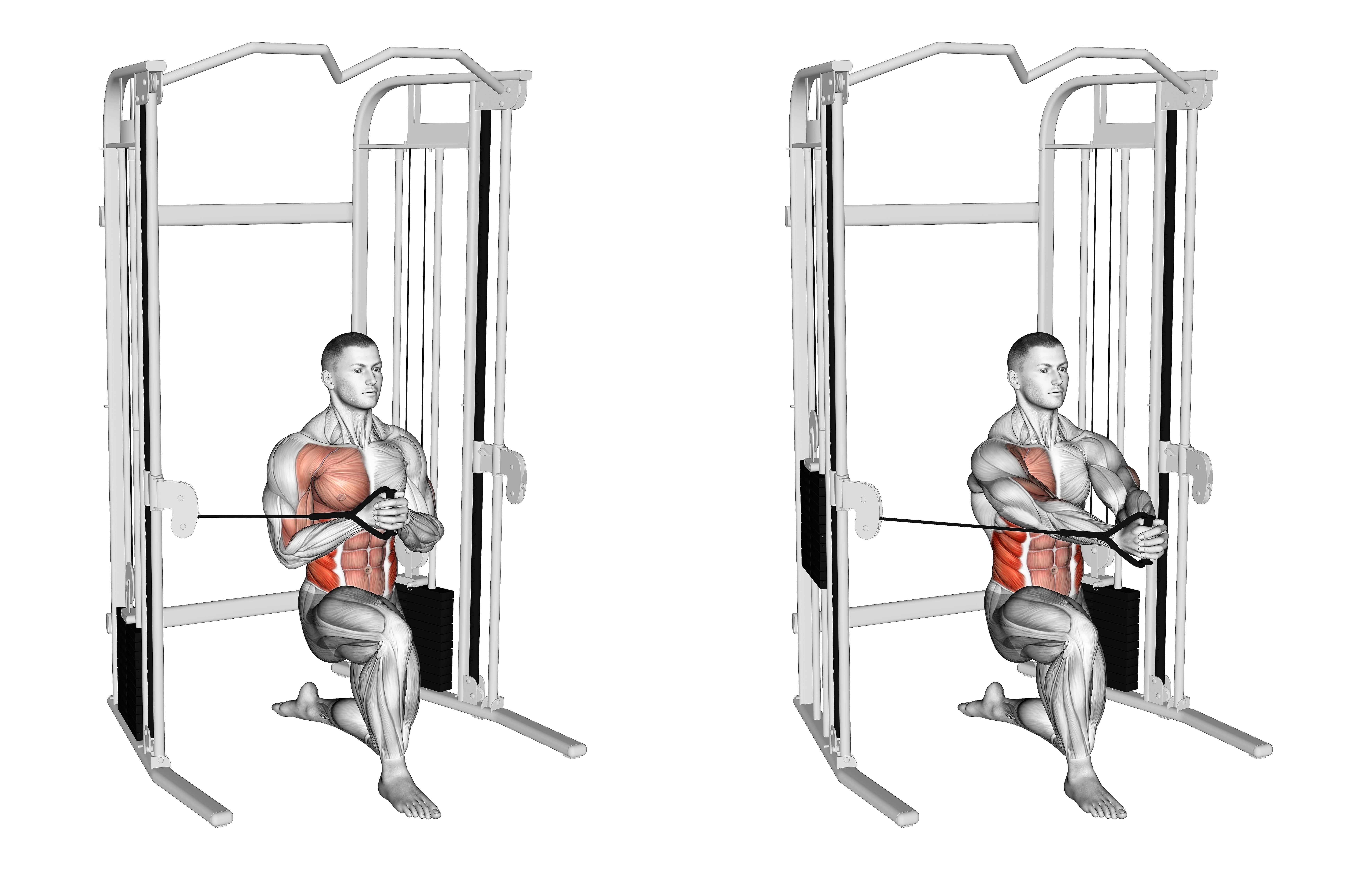 Cable Half Kneeling Pallof Press