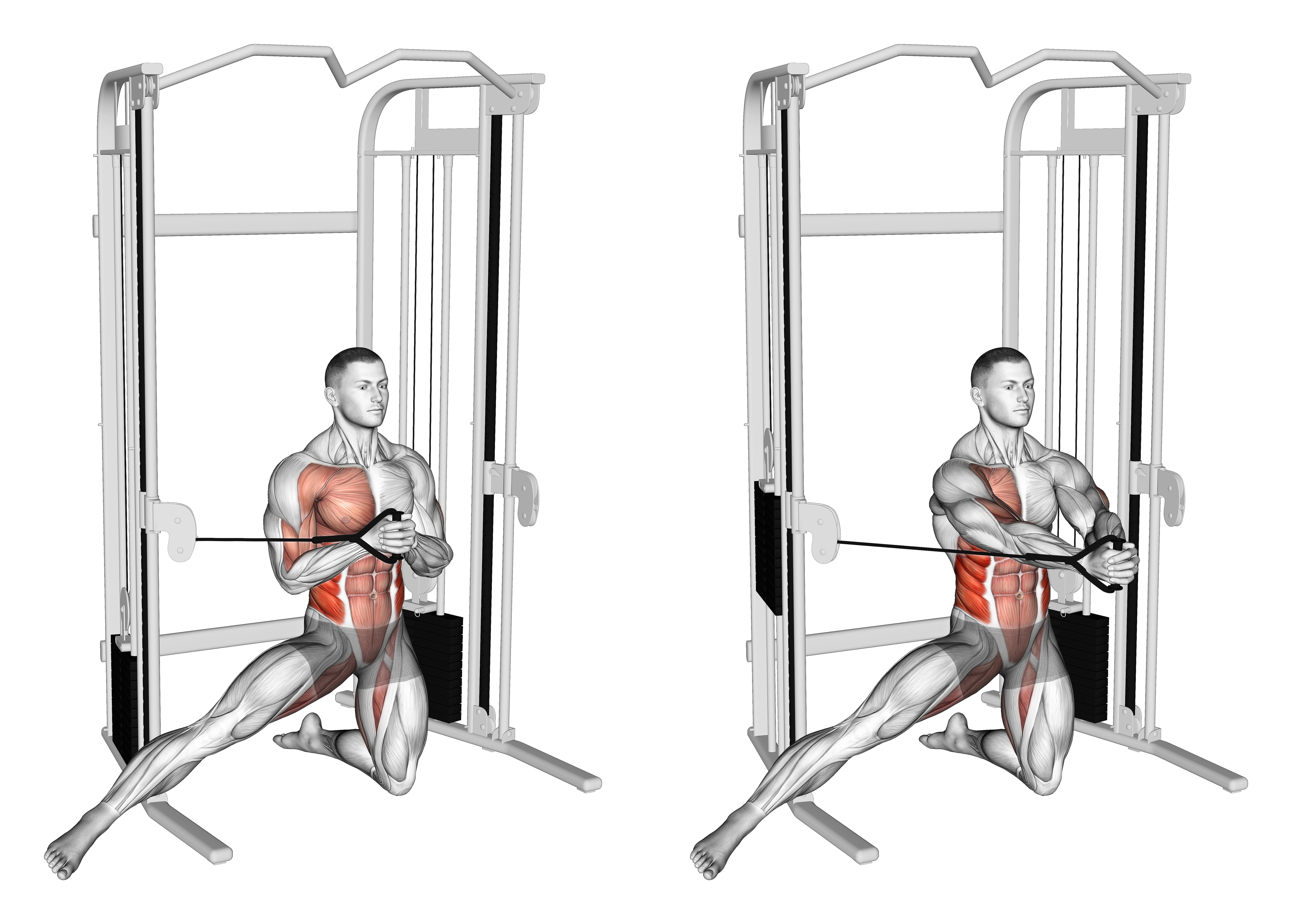 Cable Half Kneeling Adductor Pallof Press