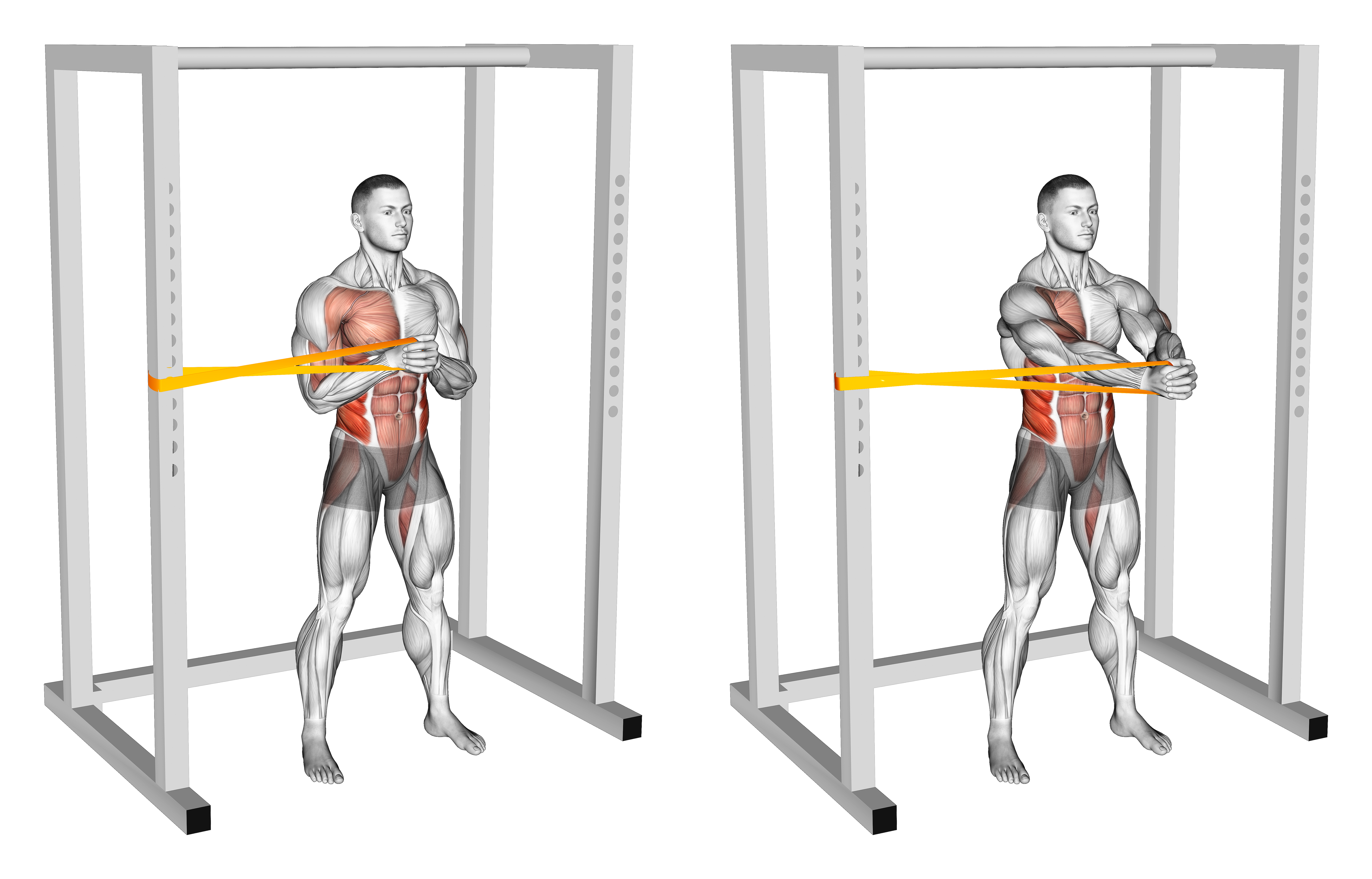 Resistance Band Horizontal Pallof Press