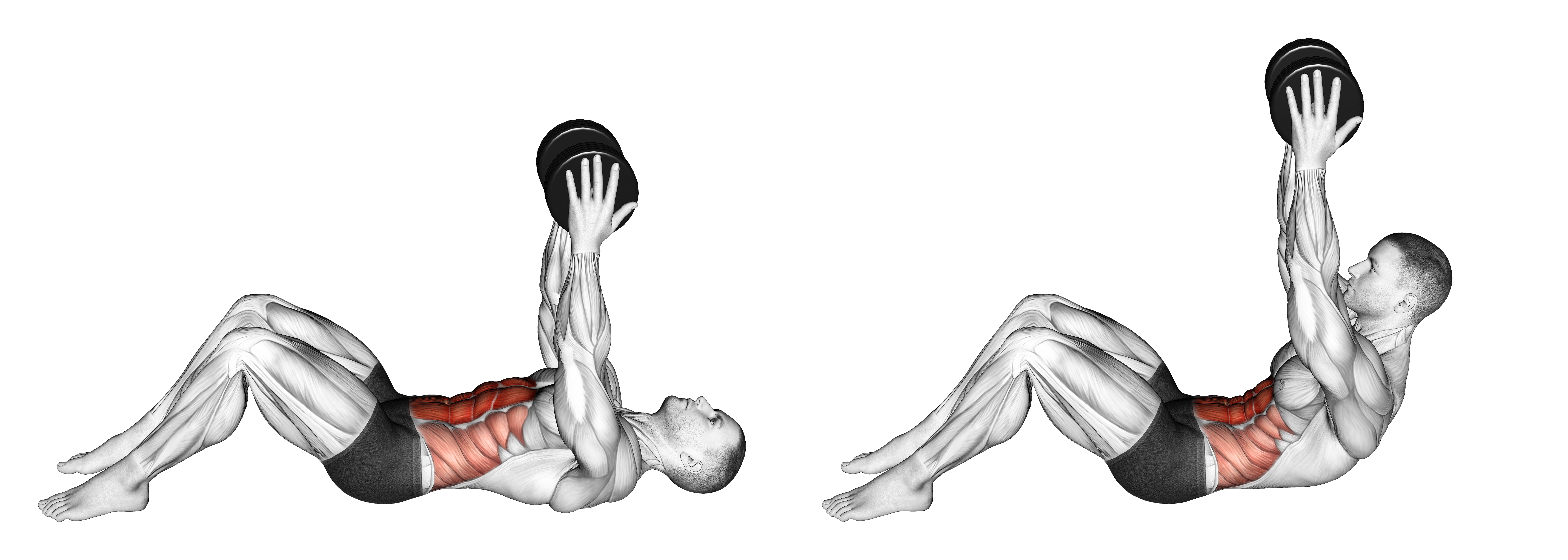 Dumbbell Straight Arm Crunch