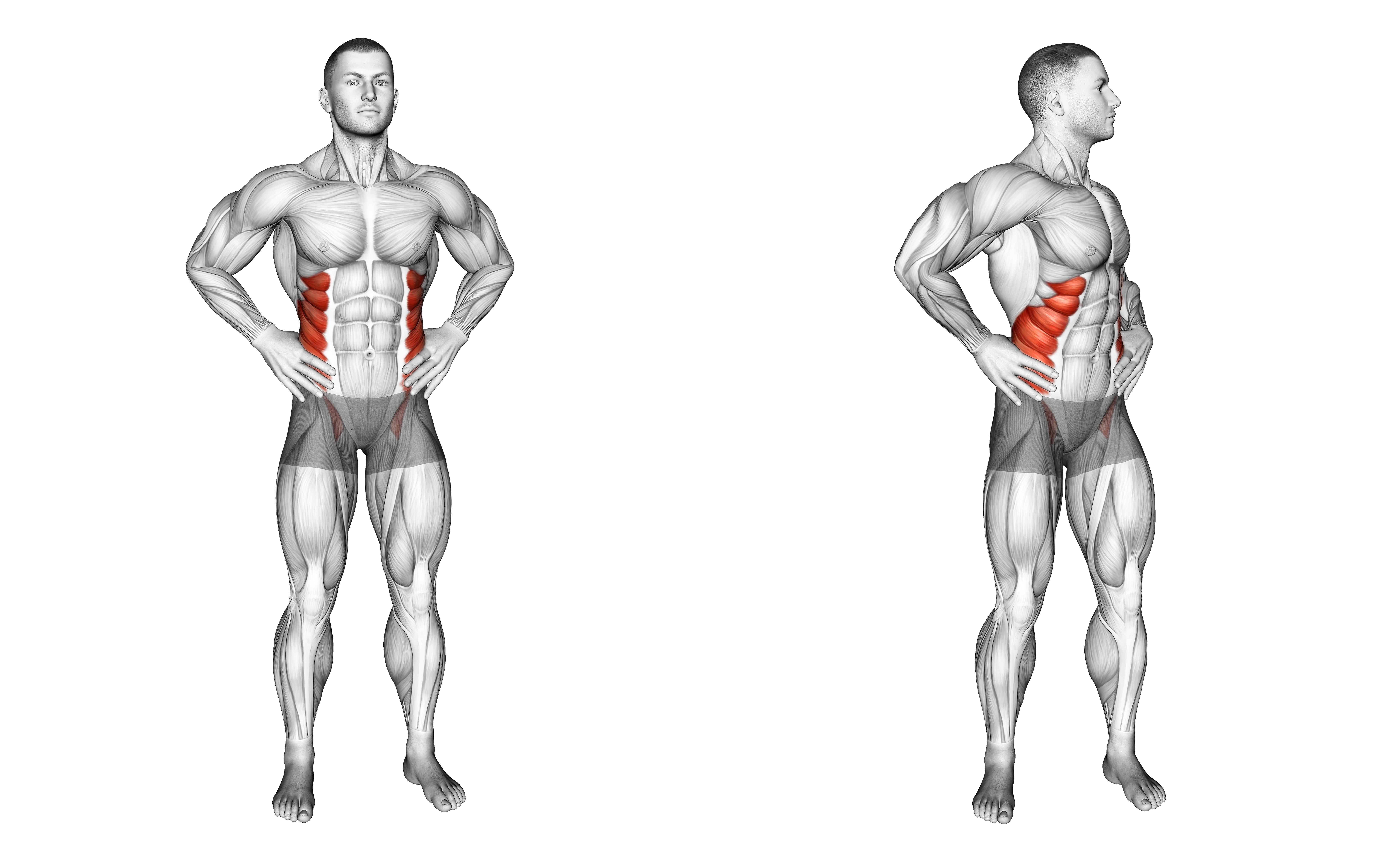 Middle Back Stretch Waist Max