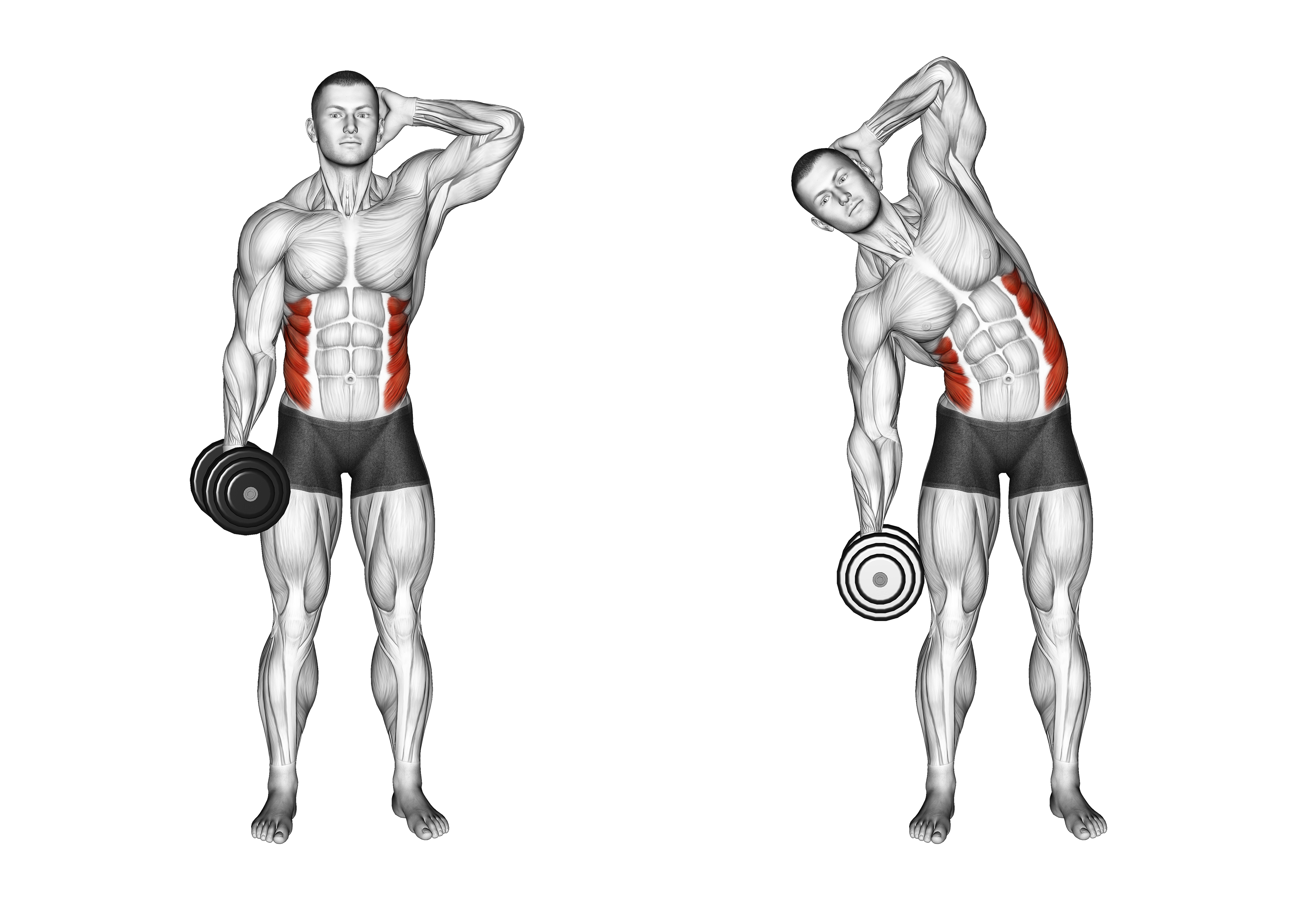 Dumbbell Side Bend (version 2)