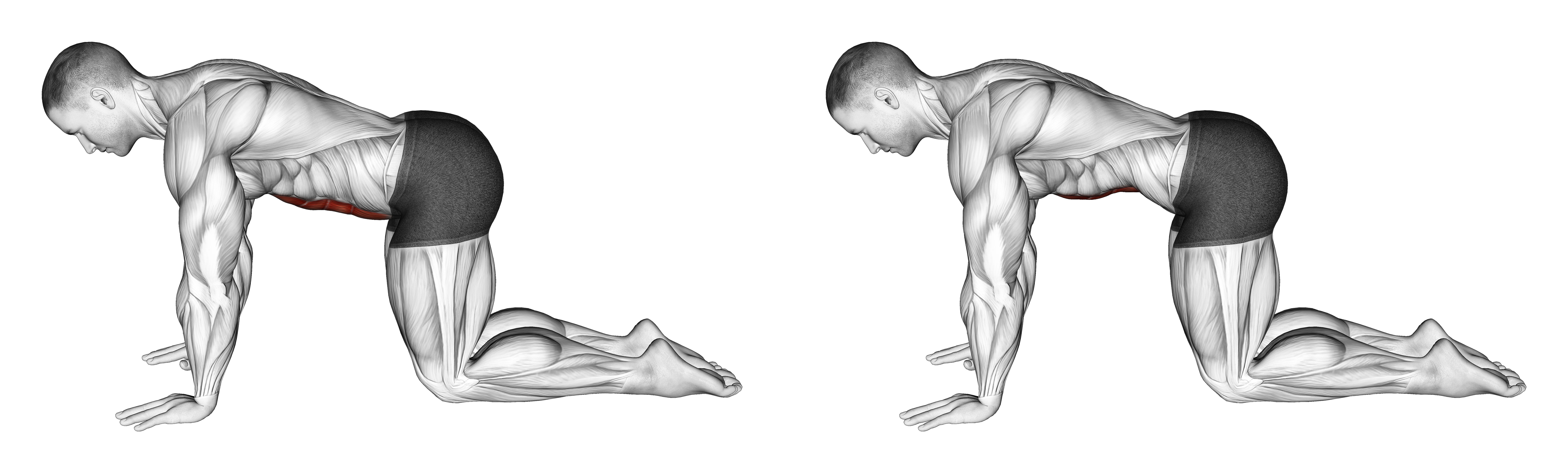 Abdominal 4 Points