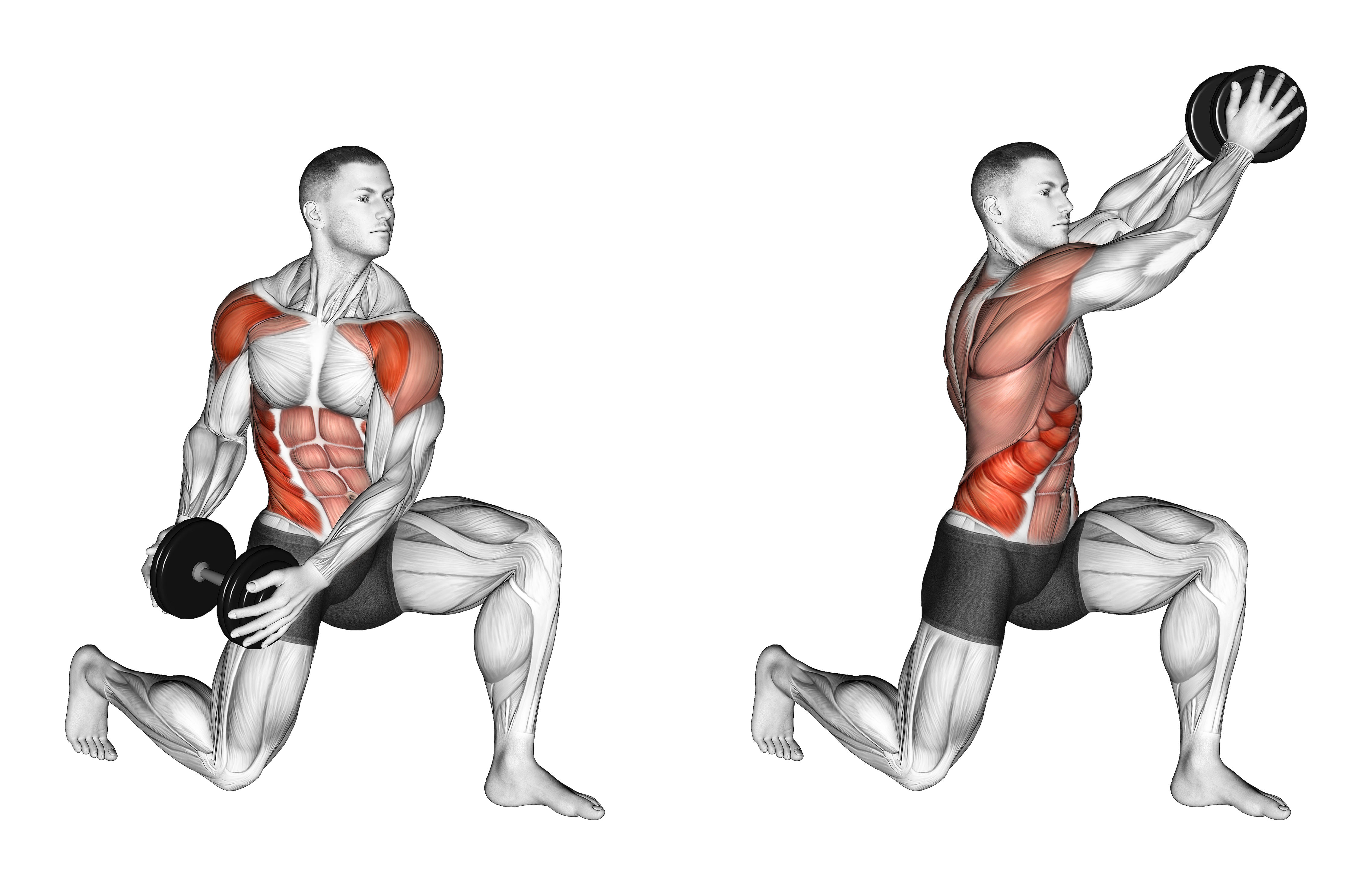 Dumbbell Half Kneeling Lift And Chop
