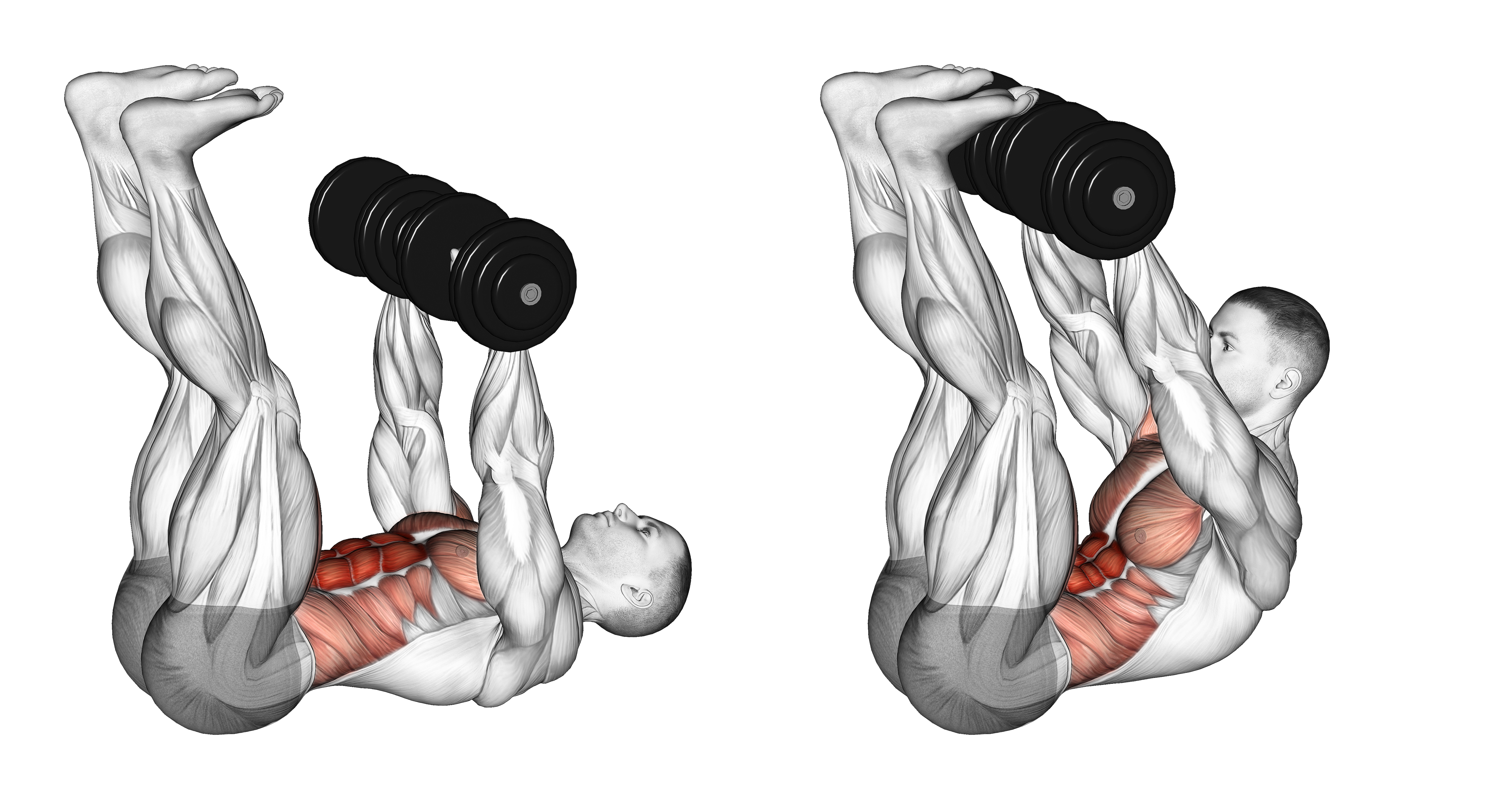 Dumbbell Crunch Up