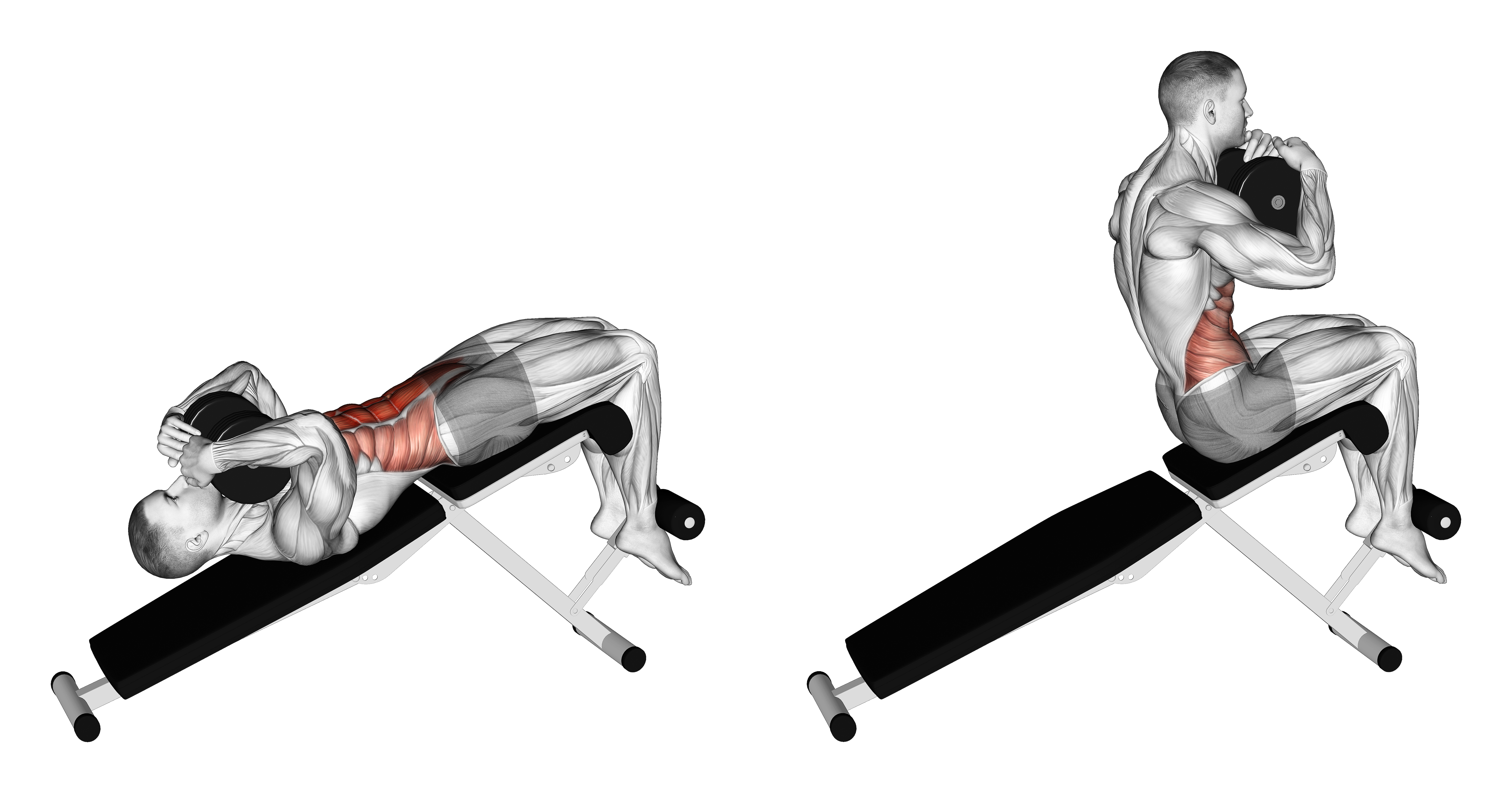 Dumbbell Decline Sit Up