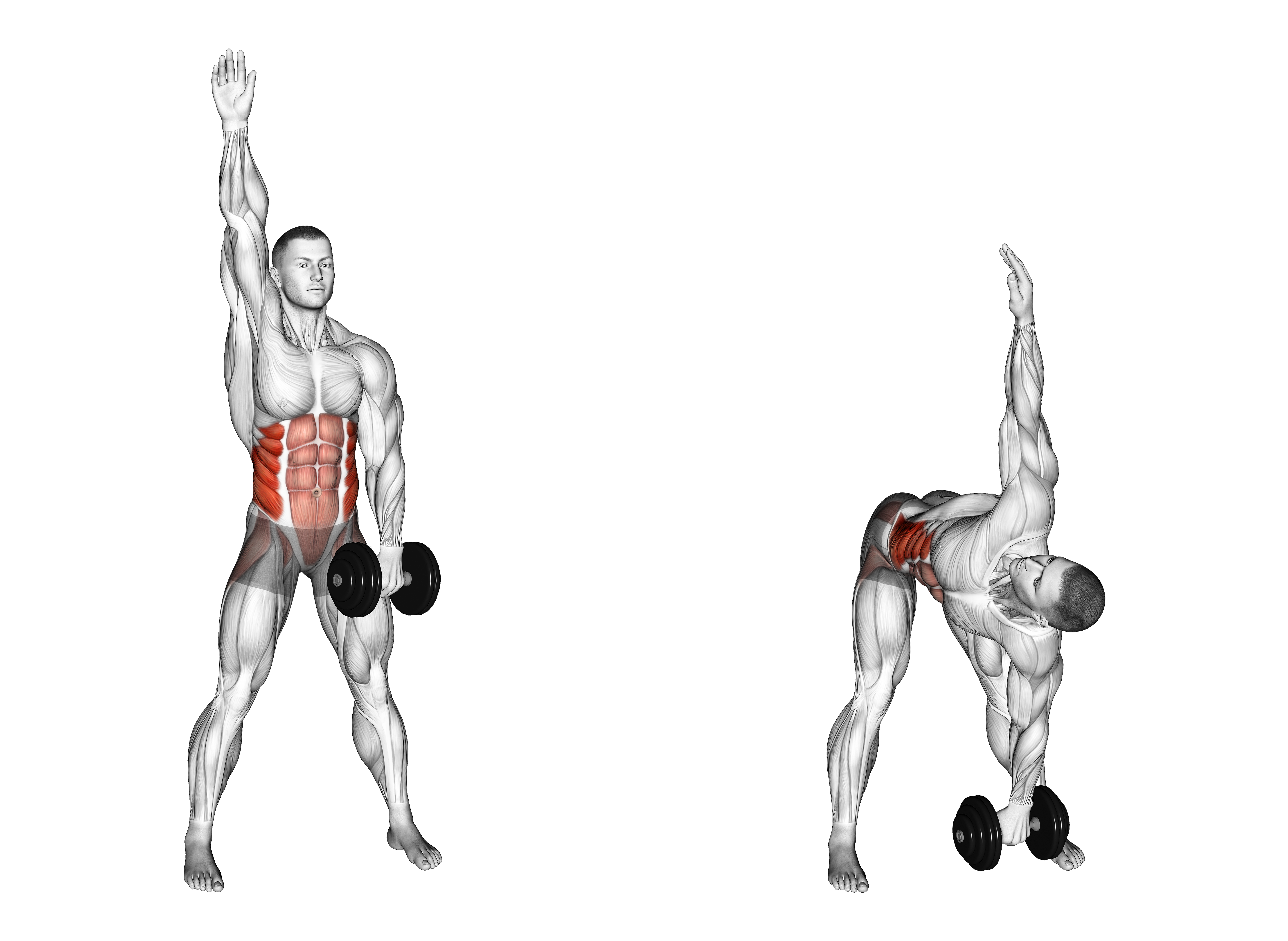 Dumbbell Low Windmill