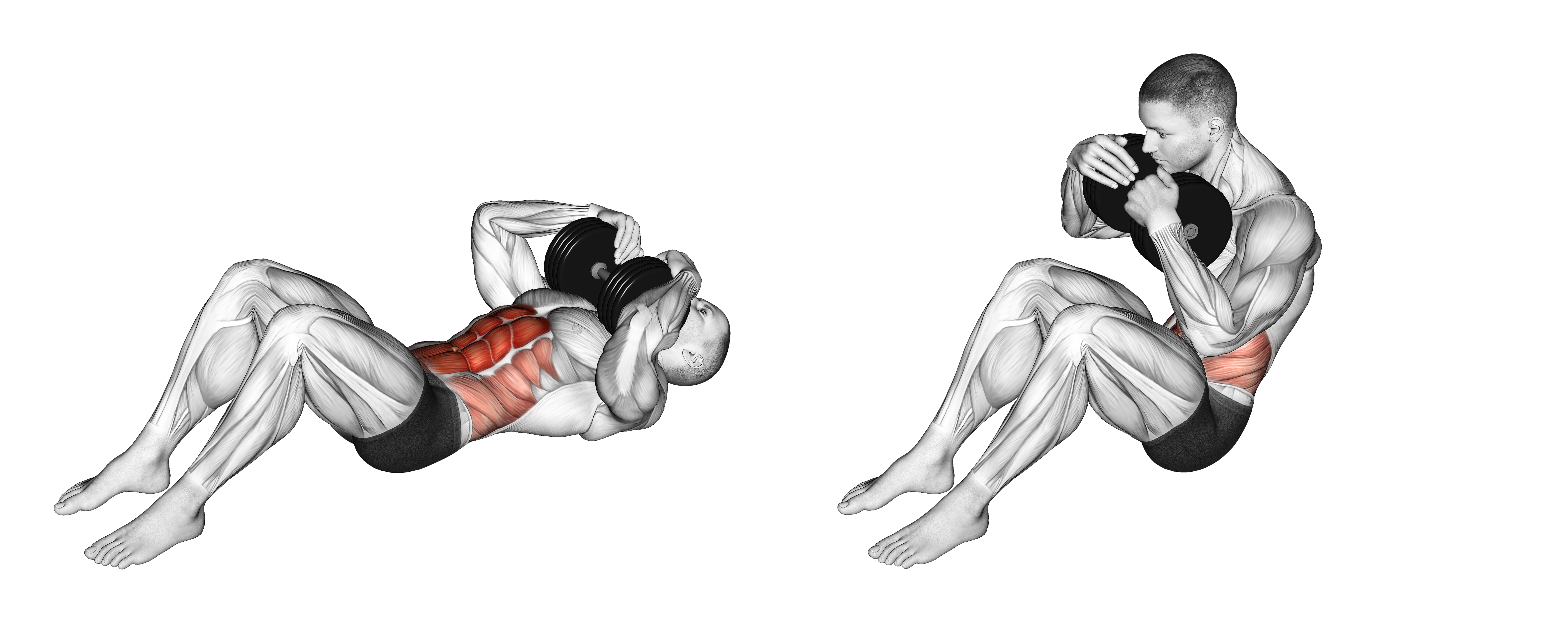 Dumbbell Sit Up