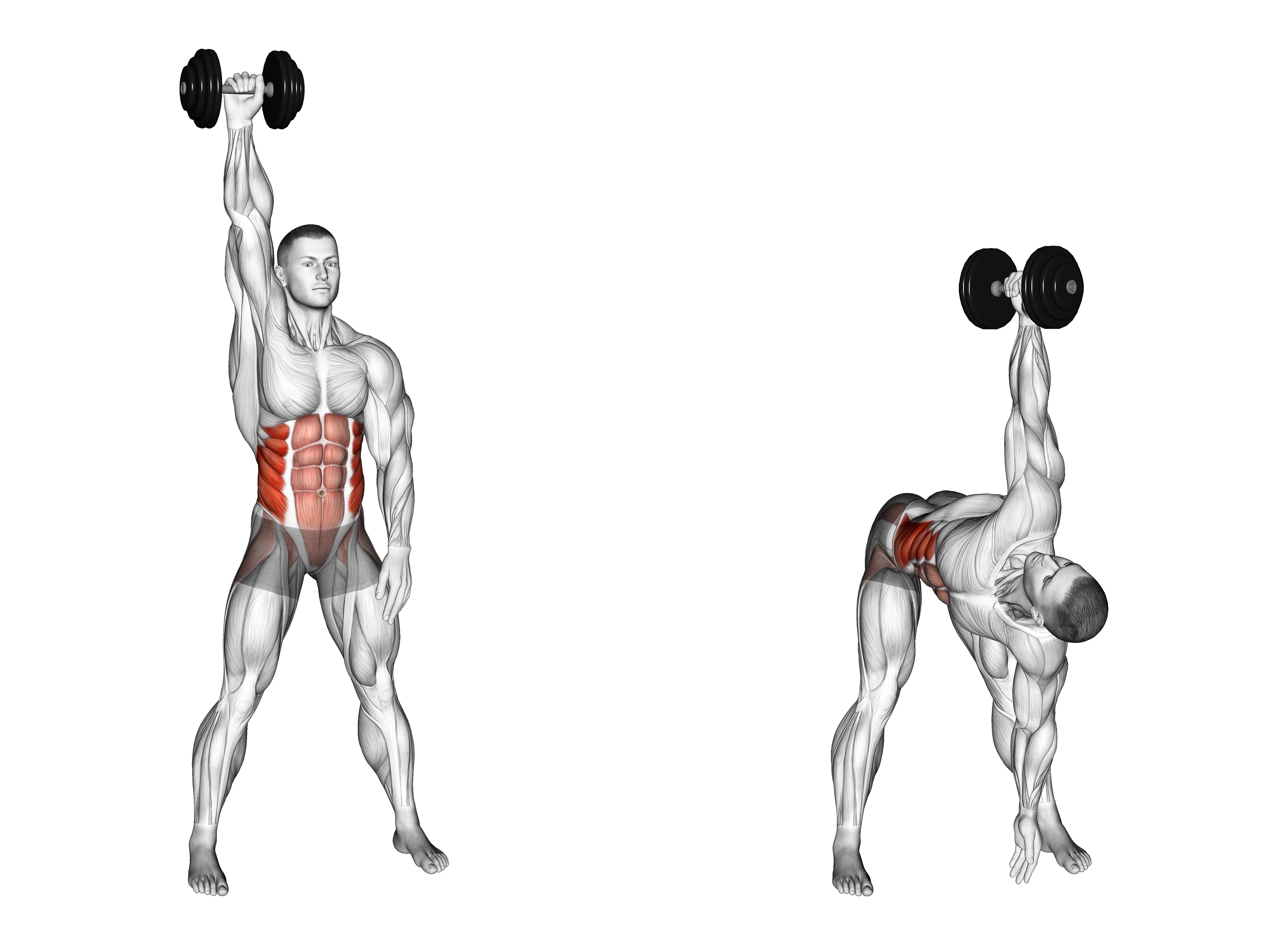 Dumbbell Standing High Windmill