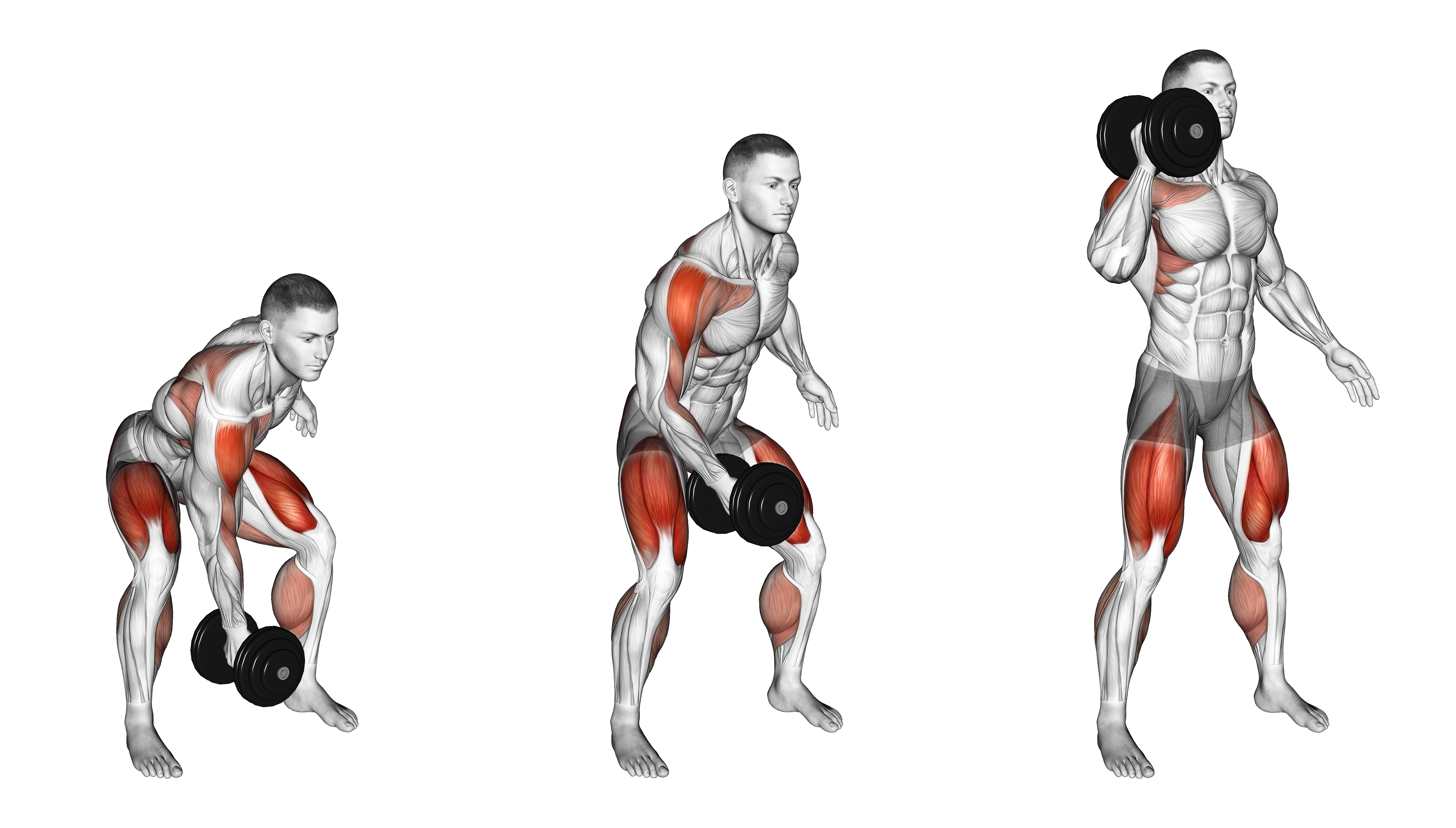 Dumbbell Single Power Clean Weightlifting Max
