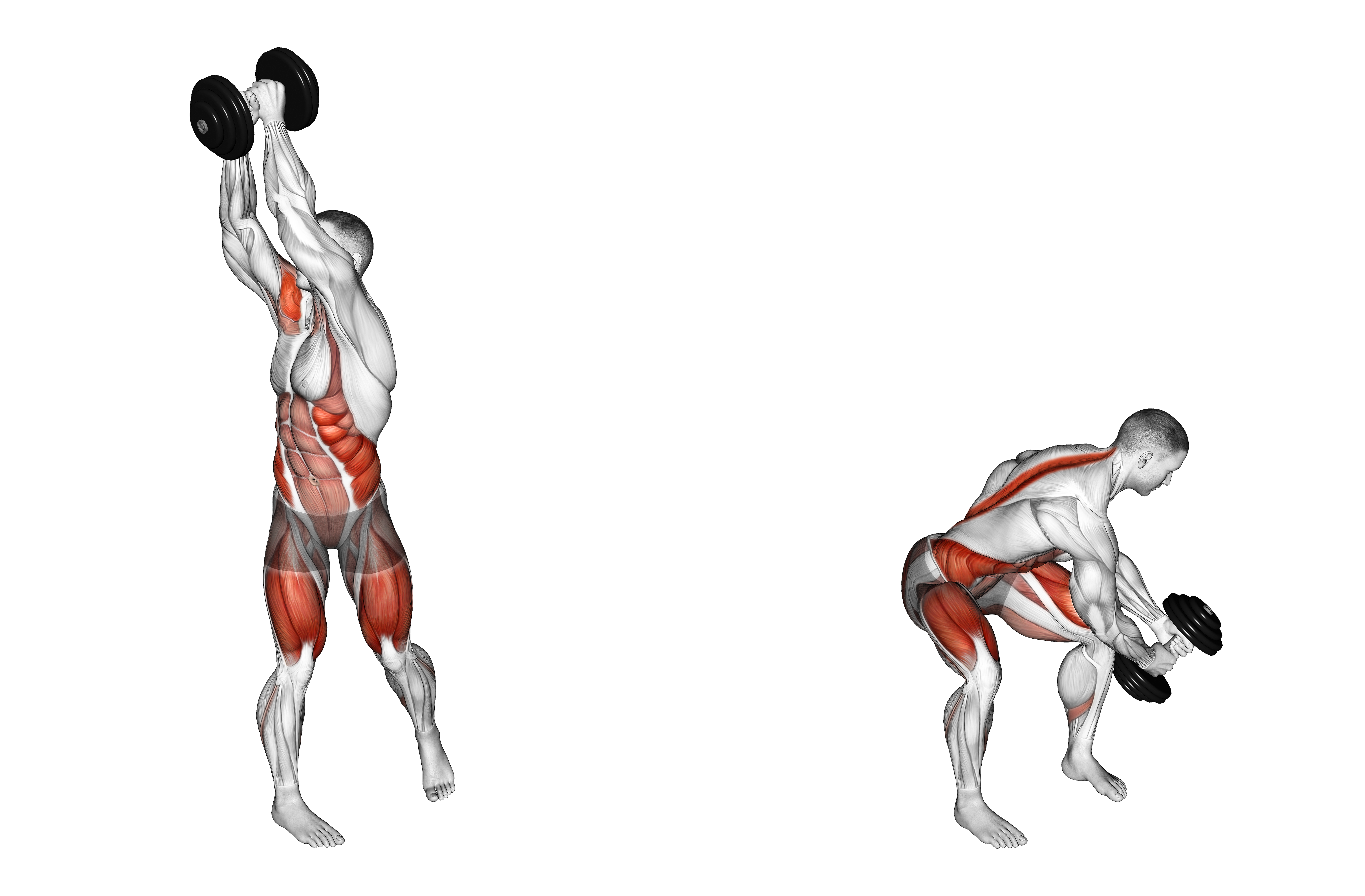 Dumbbell Wood Chop Squat