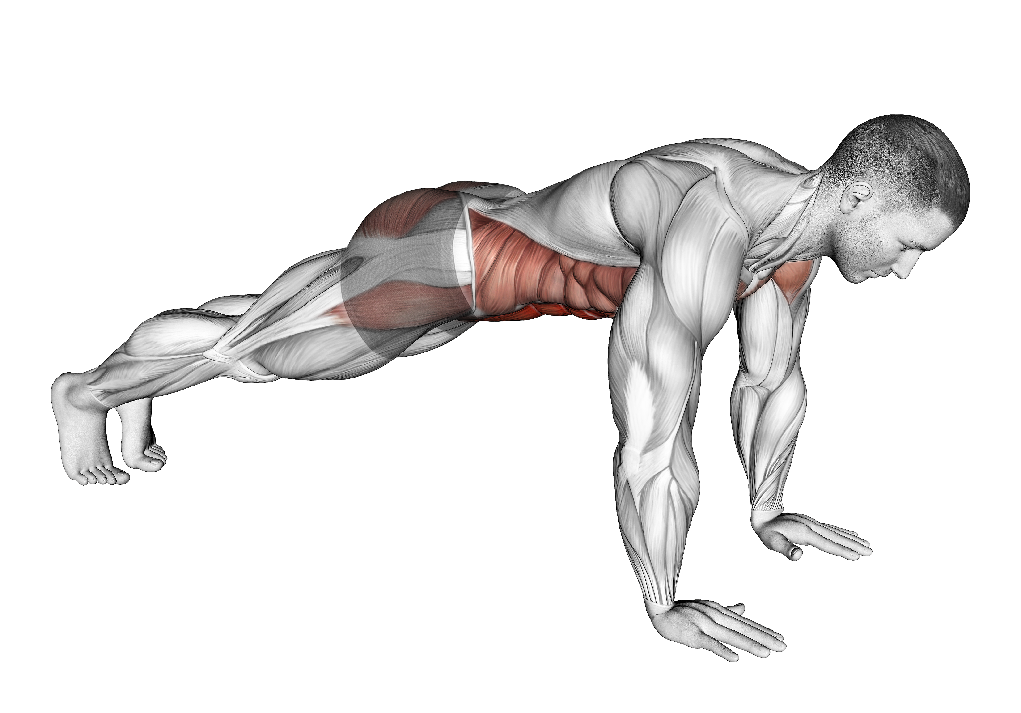 Plank On Hands