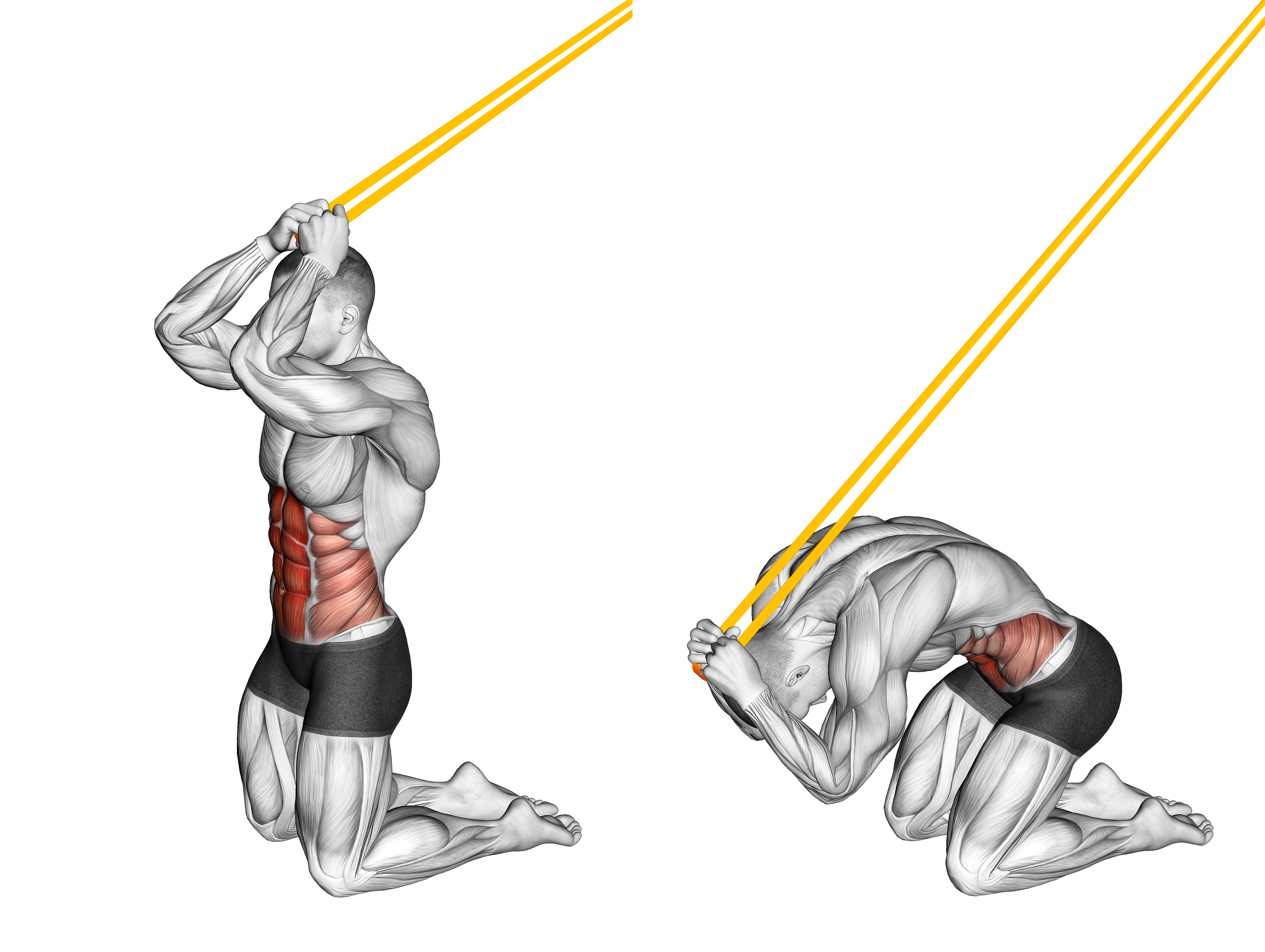 Resistance Band Kneeling Ab Crunch