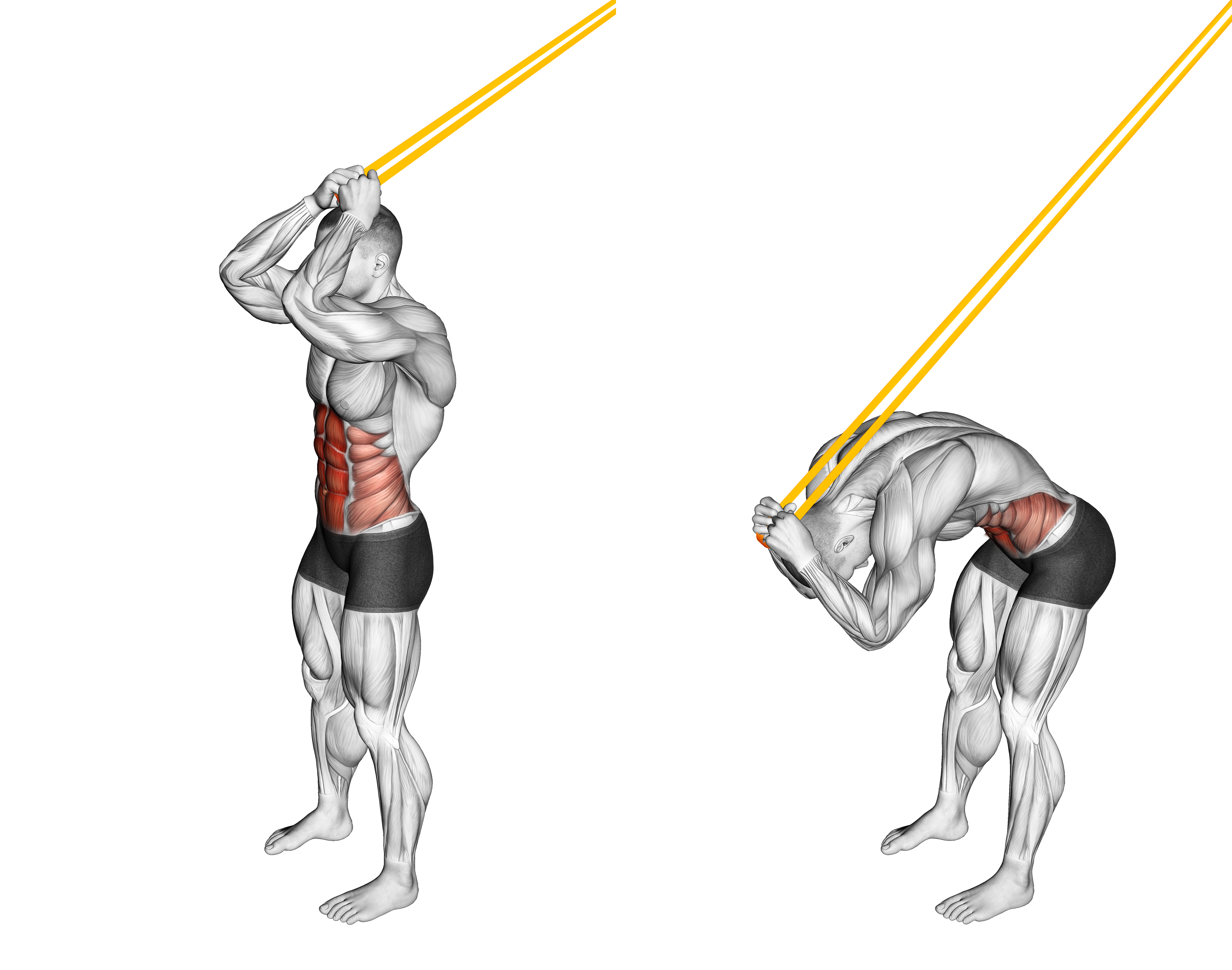 Resistance Band Standing Ab Crunch