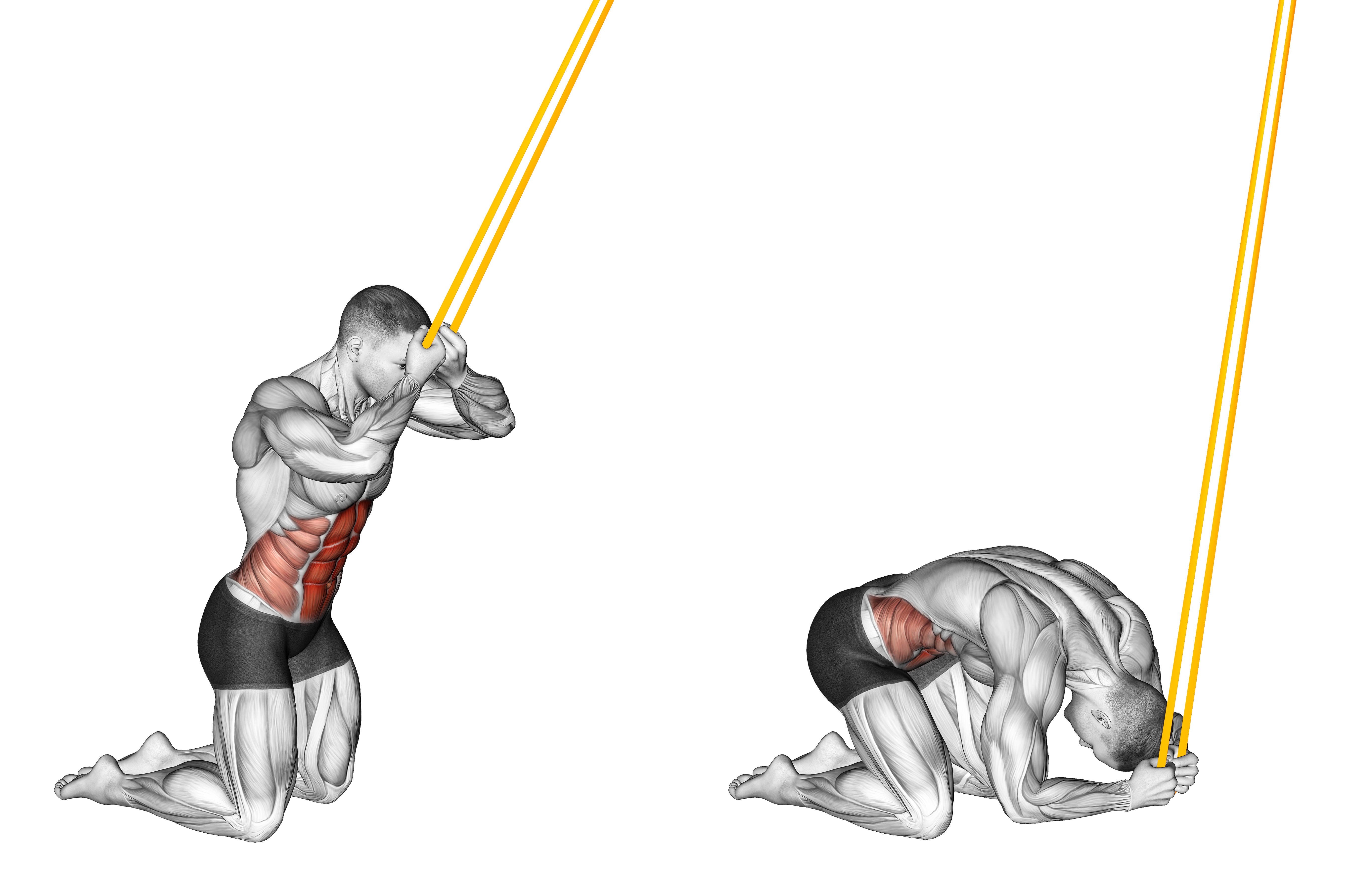 Resistance Band Kneeling Ab Crunch (version 2)