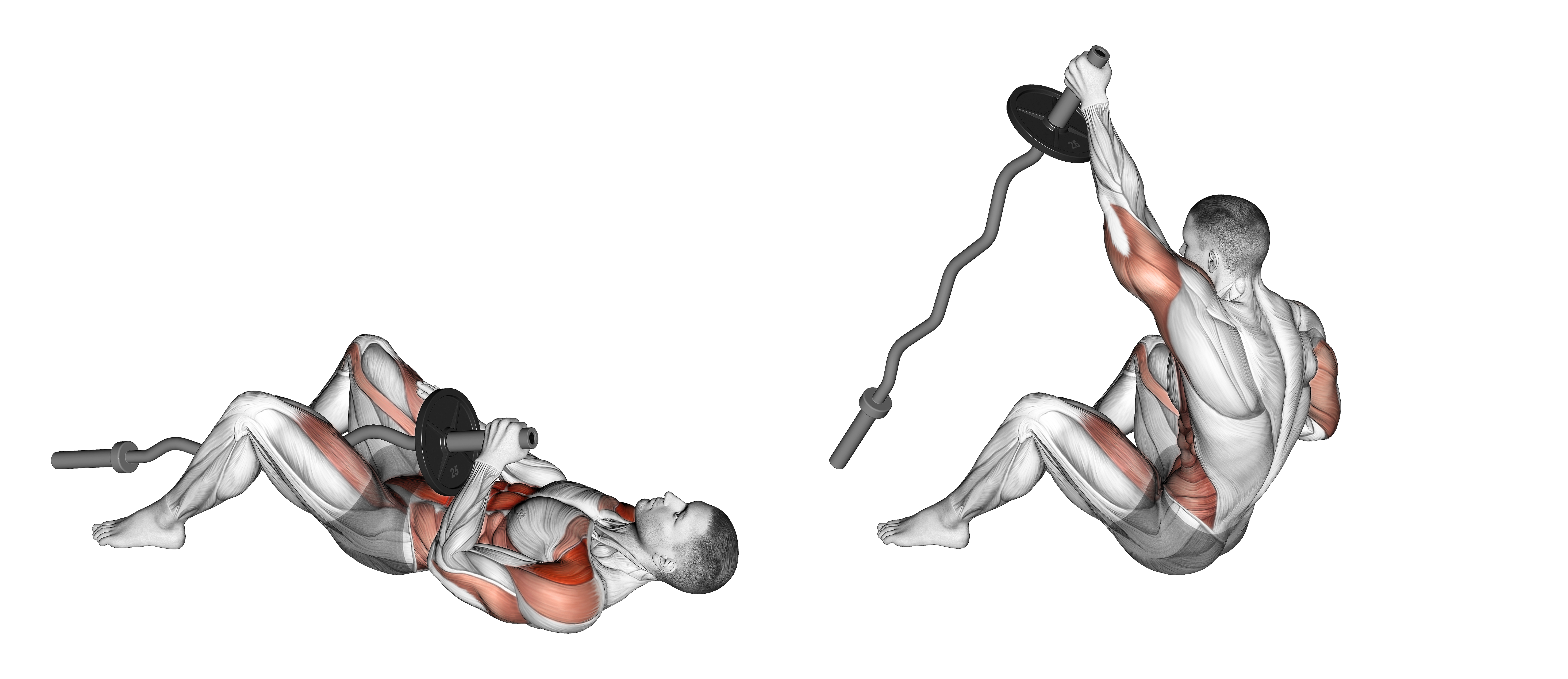 Ez Bar Shoulder Press Sit Up