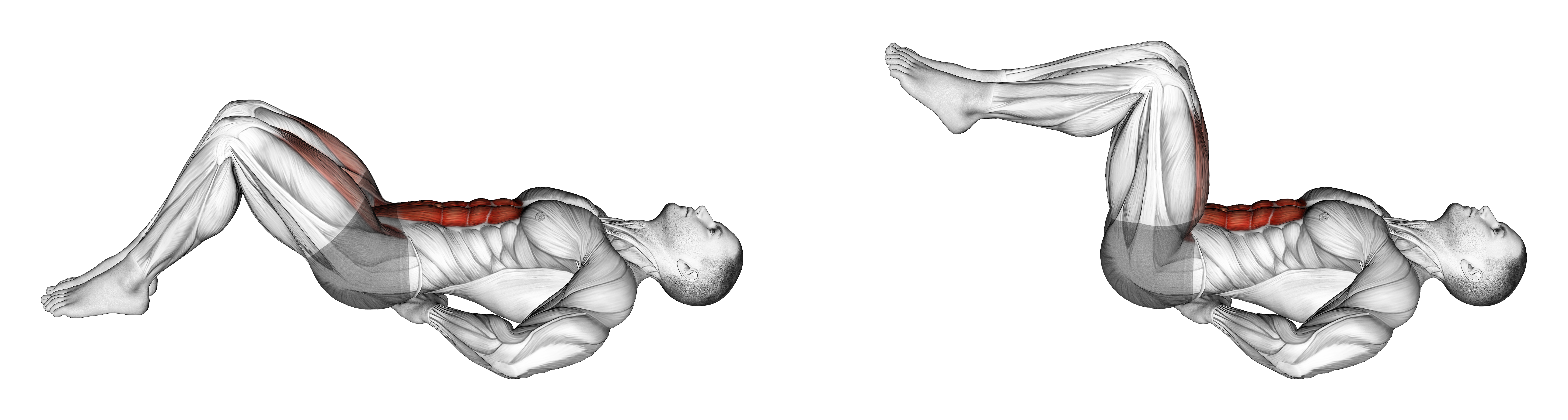 Lying Bent Legs Raise
