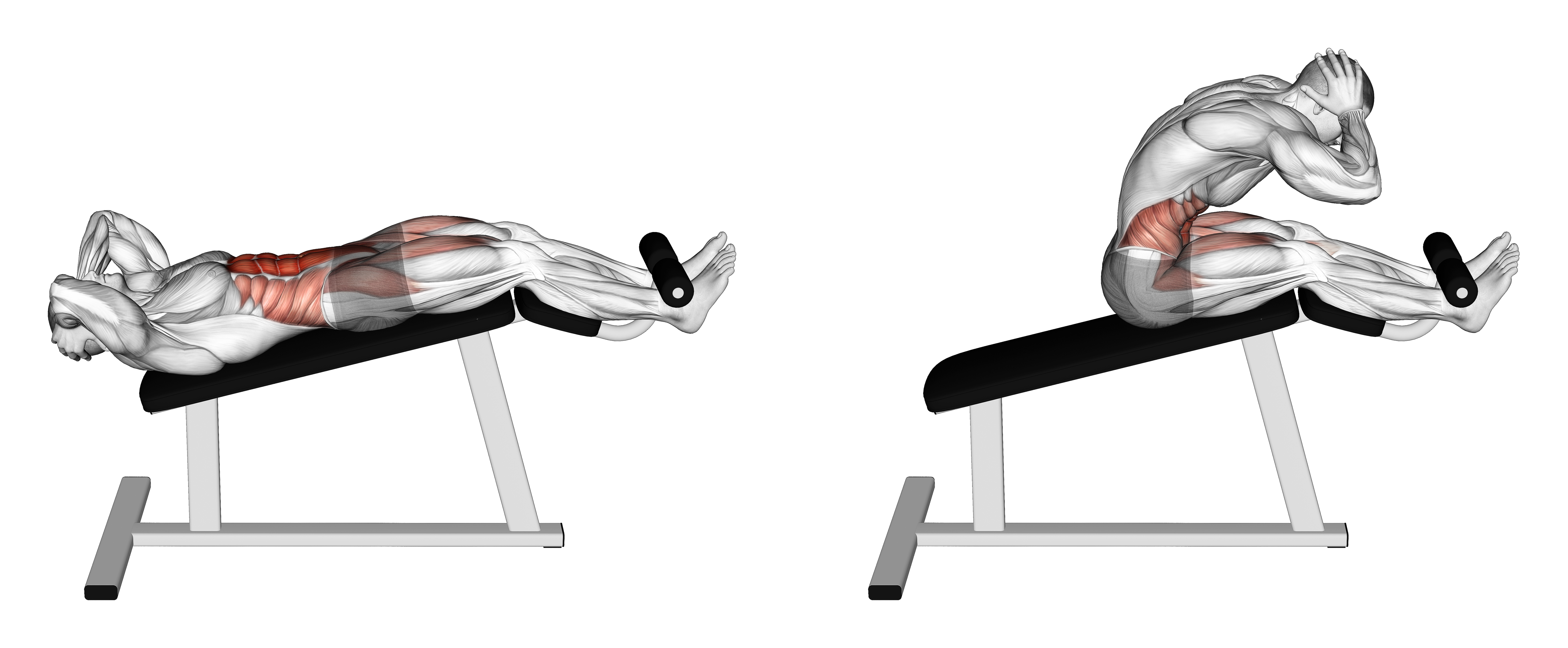 Decline Sit Up (version 3)