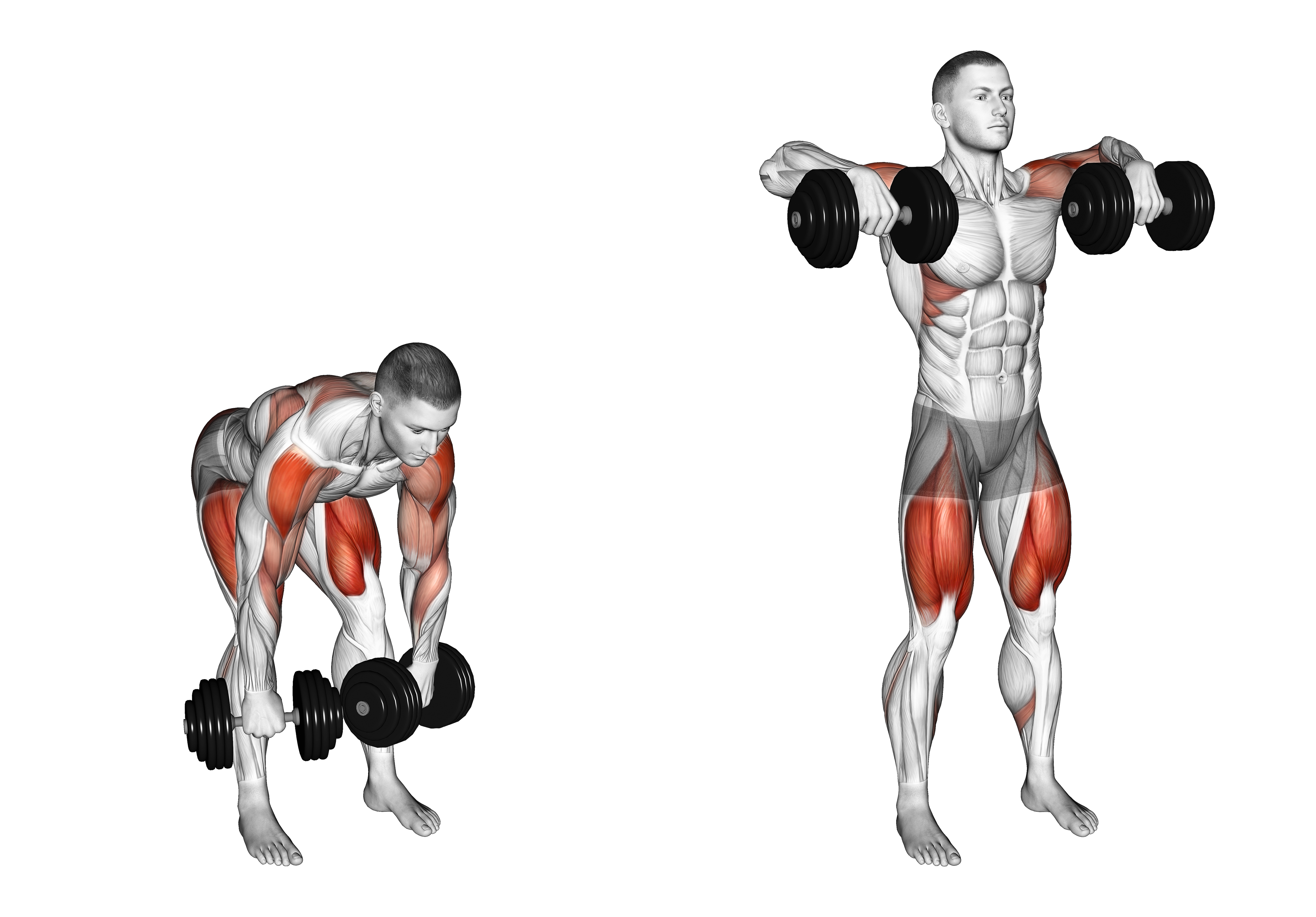Dumbbell High Pull Weigtlifting Max