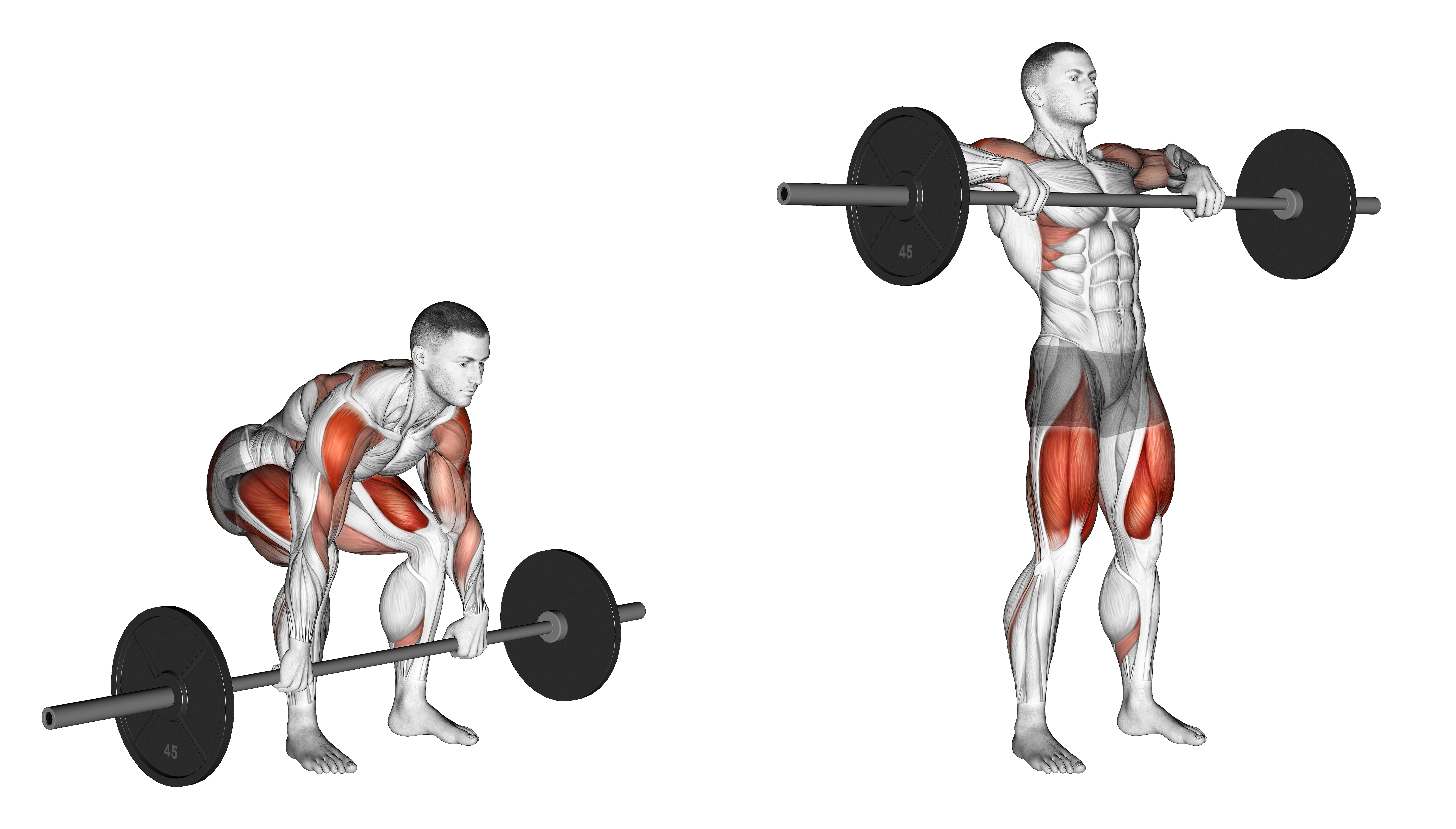 Barbell Clean High Pull Weightlifts Max