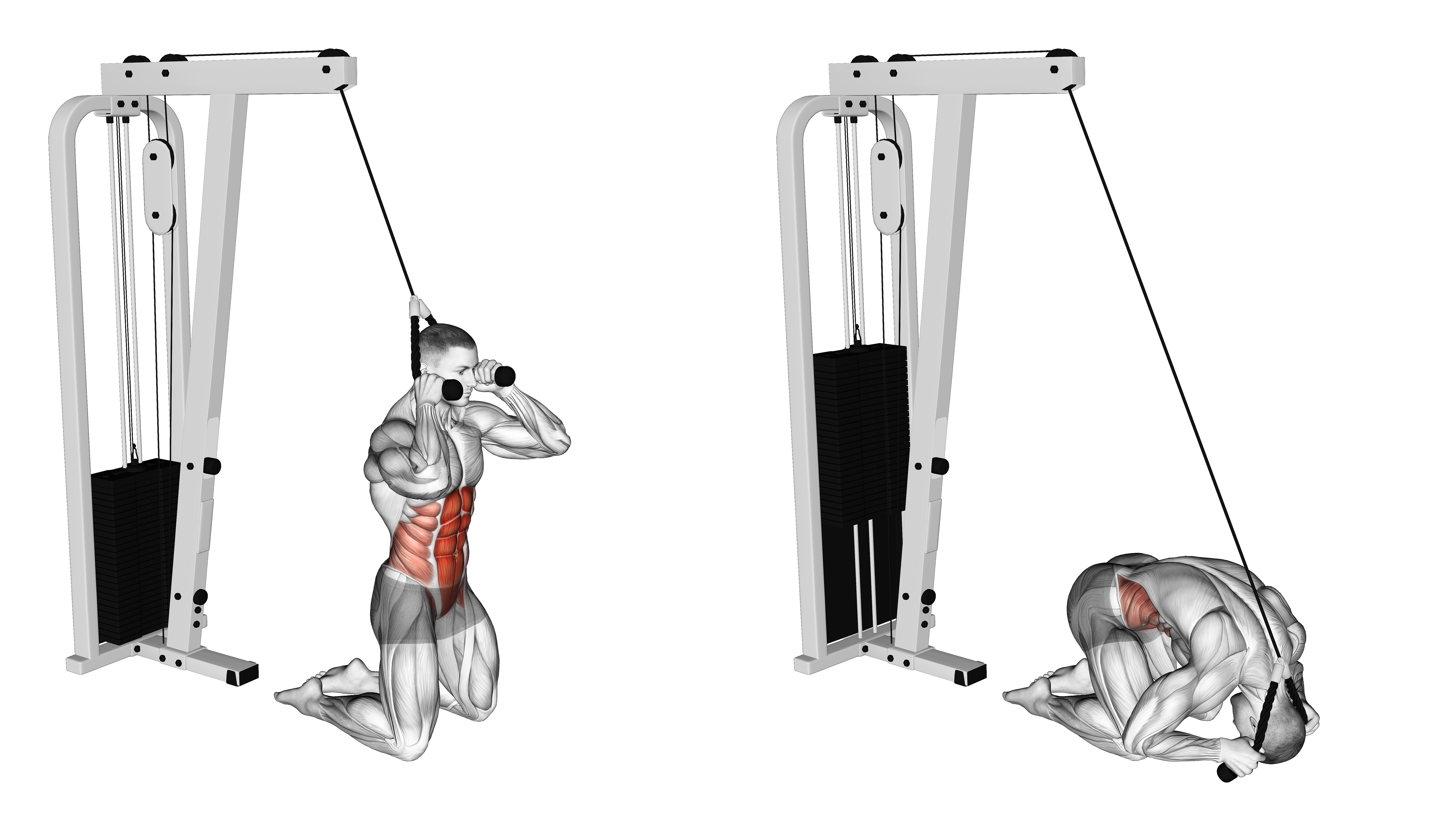 Cable Kneeling Crunch (version 2)