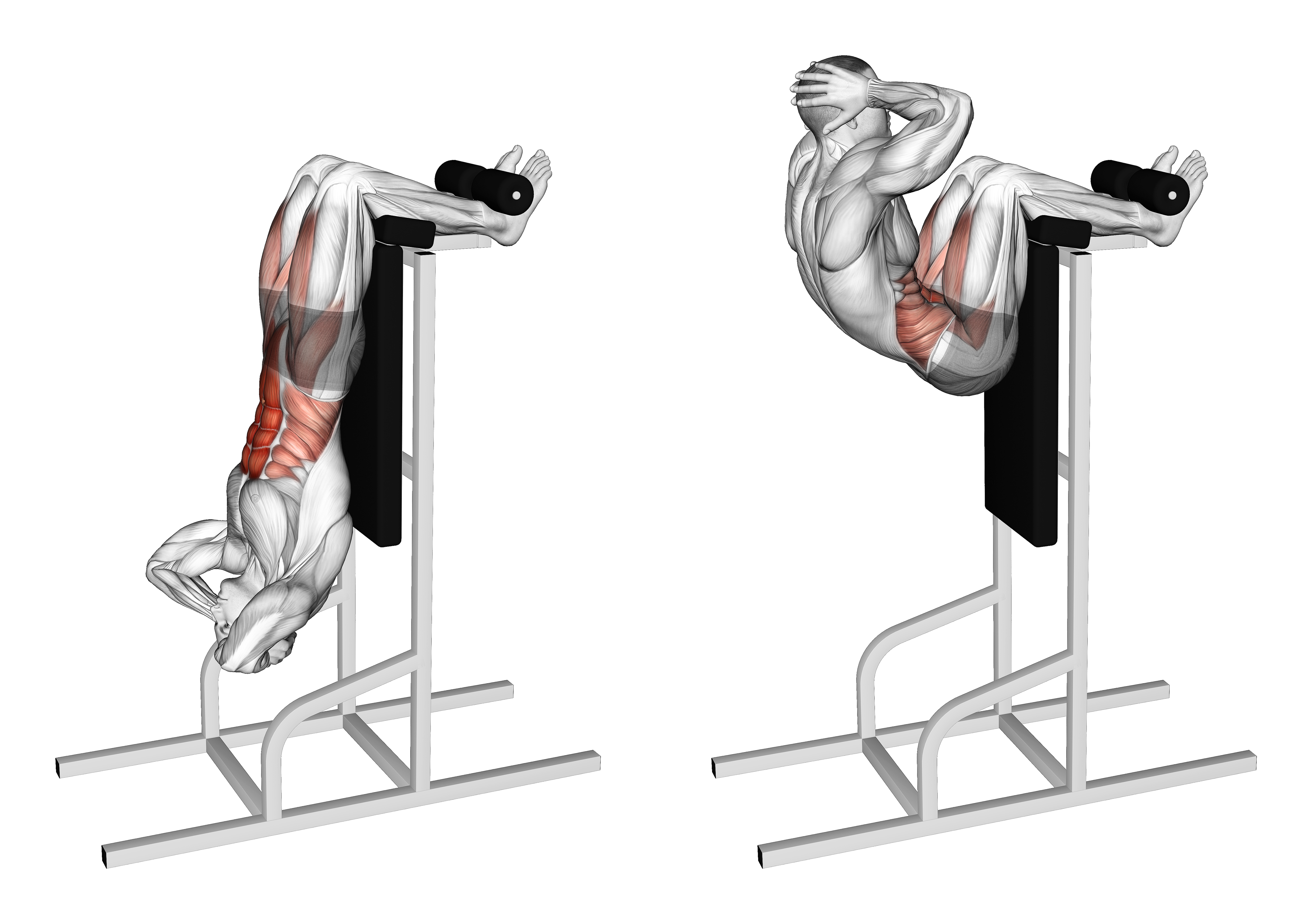 Vertical Sit Up