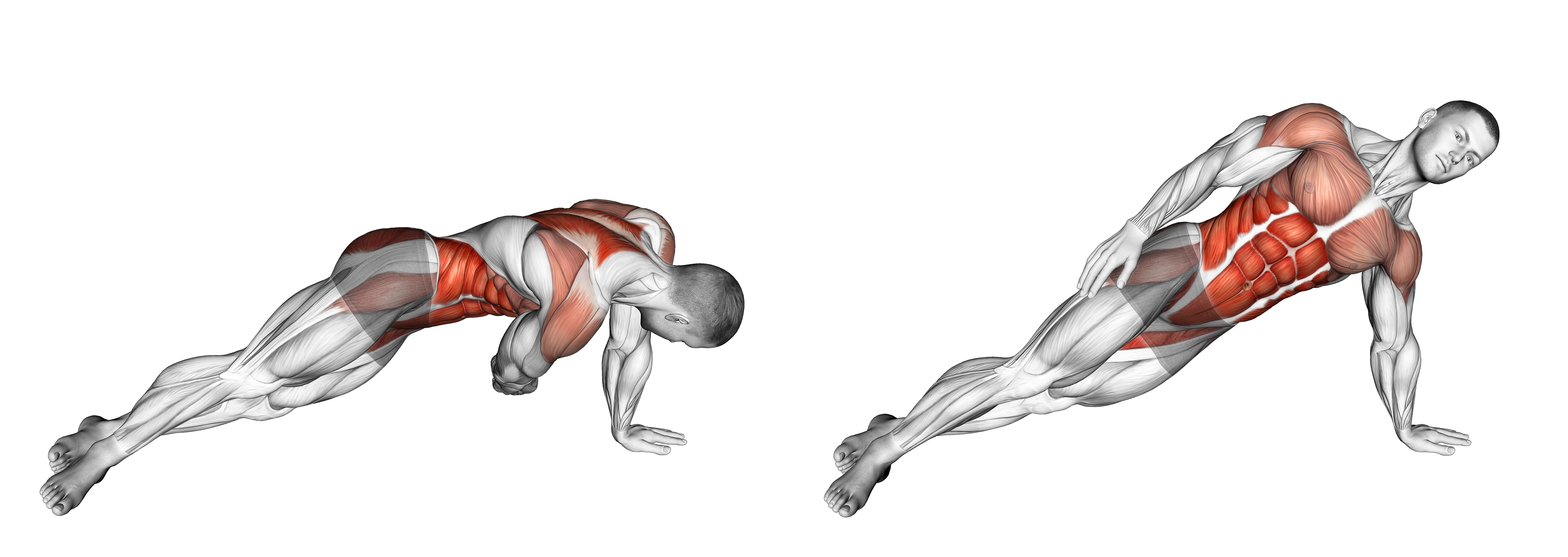 Side Plank Pull