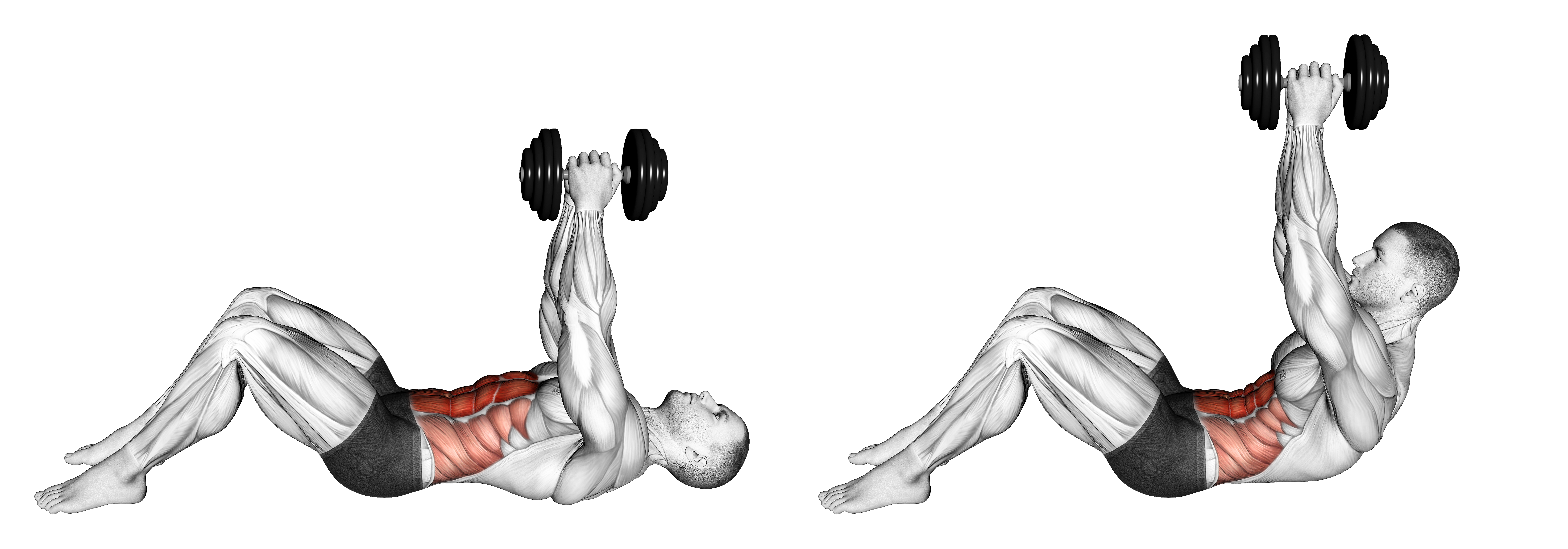 Dumbbell Straight Arm Crunch (version 2)