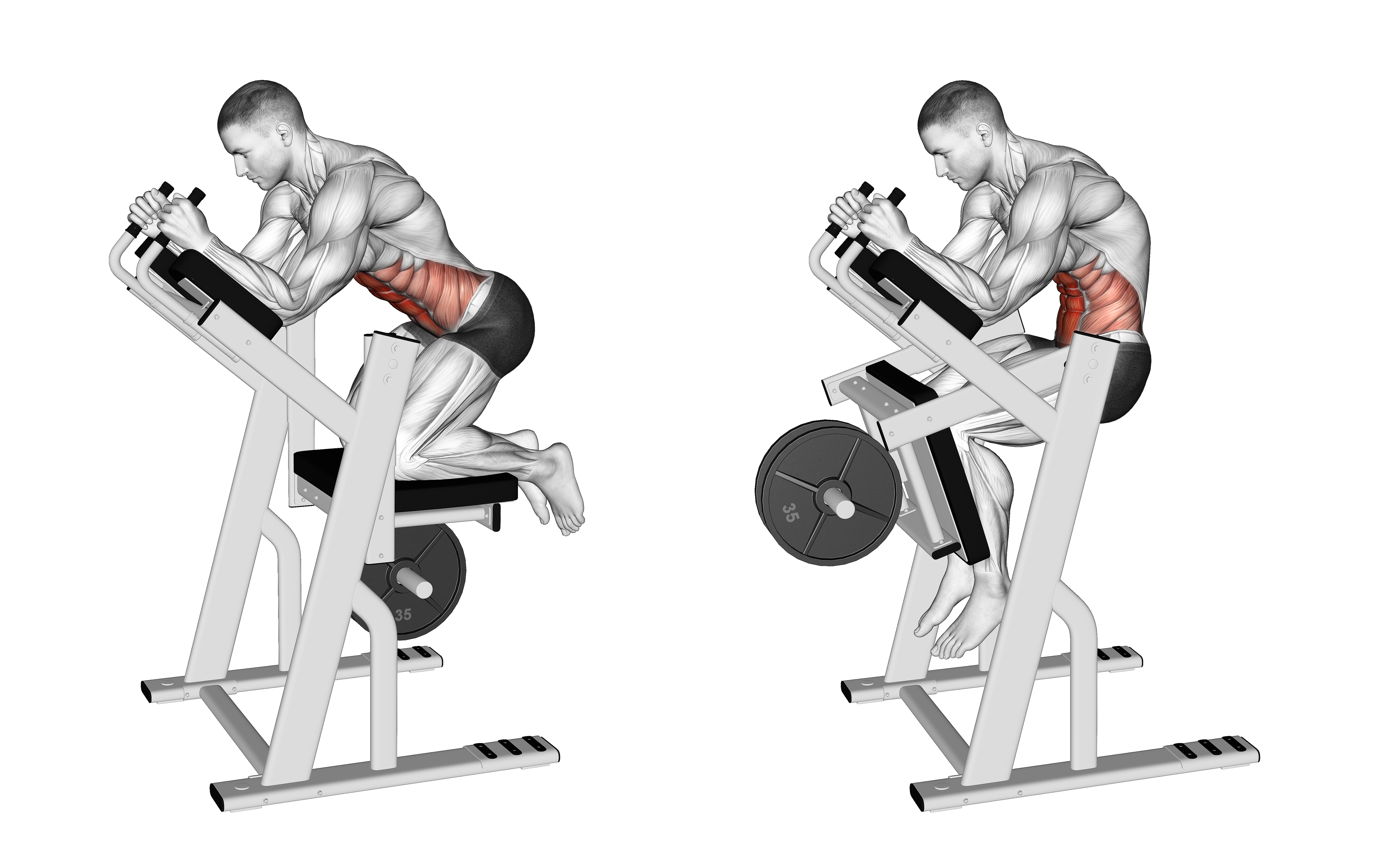 Lever Ab Swing