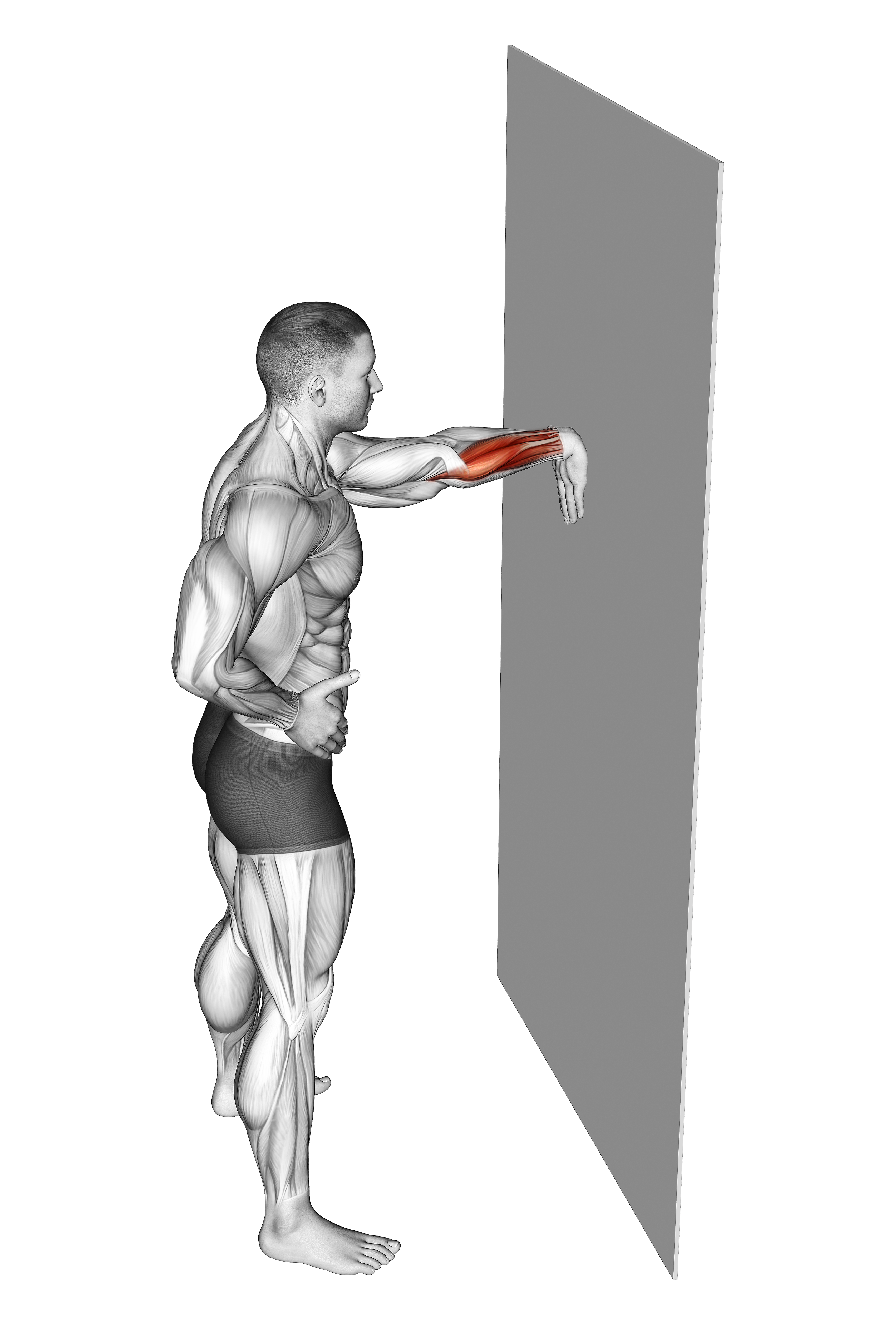 Wall Flexors Stretch