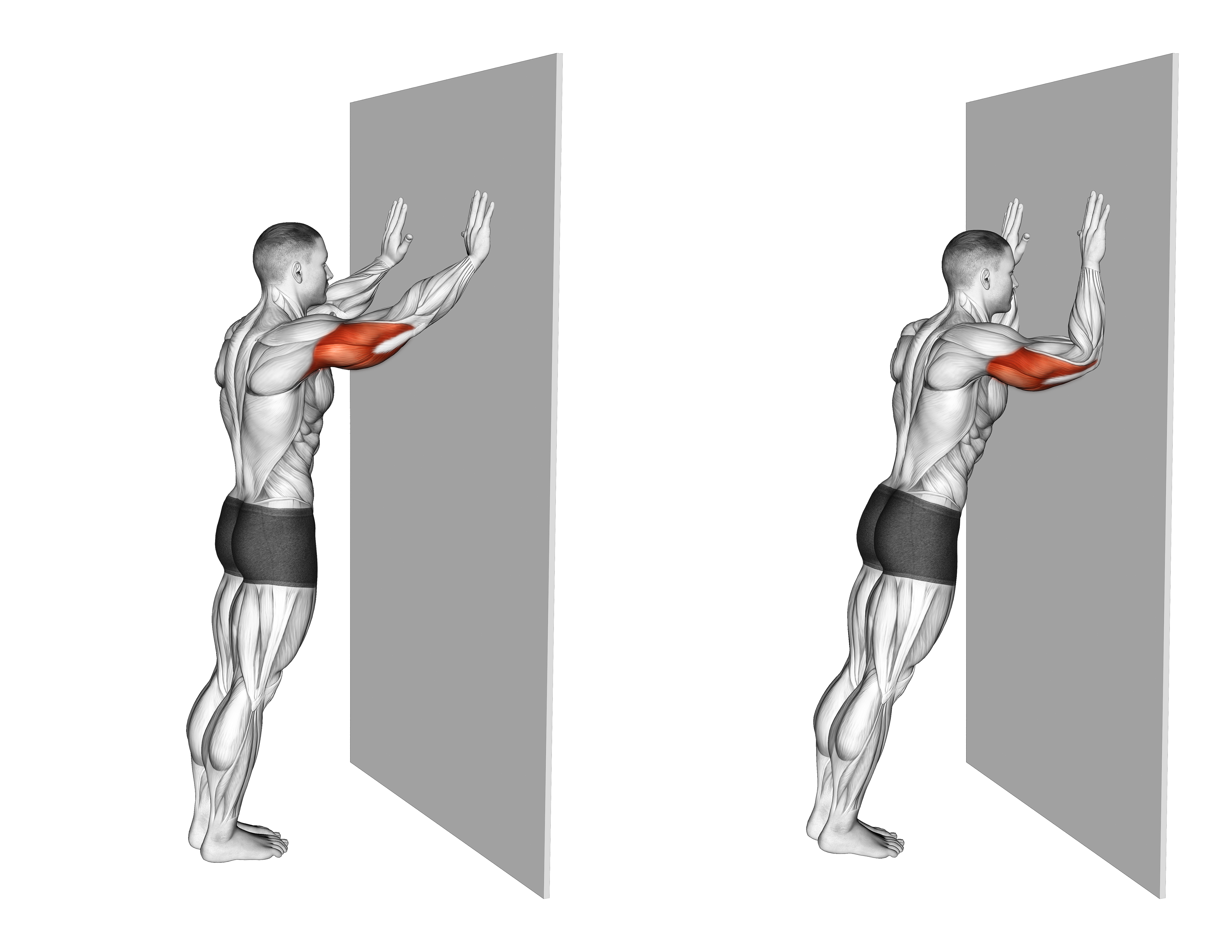 Wall Pulse