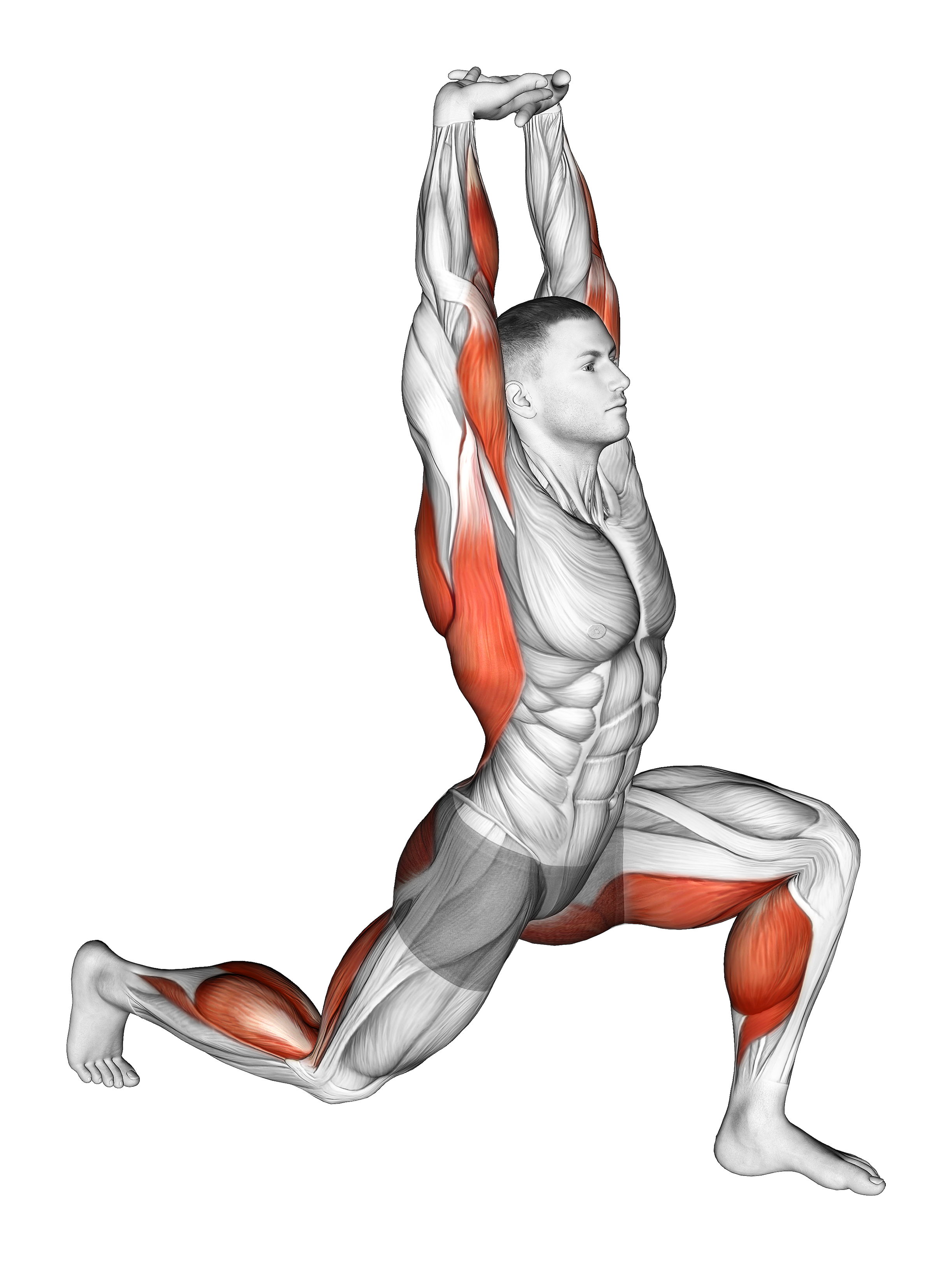 Warming Up In Lunge (one)