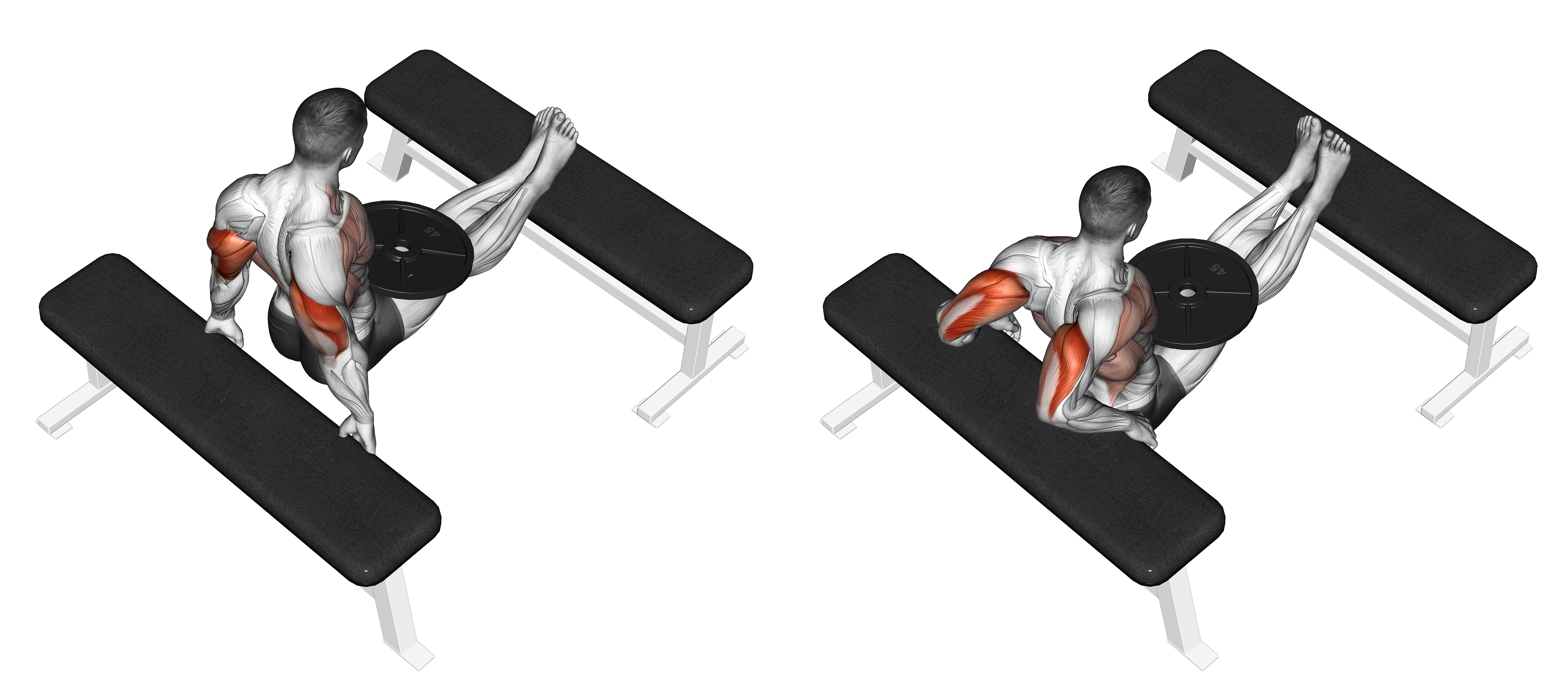 Weighted Bench Dip