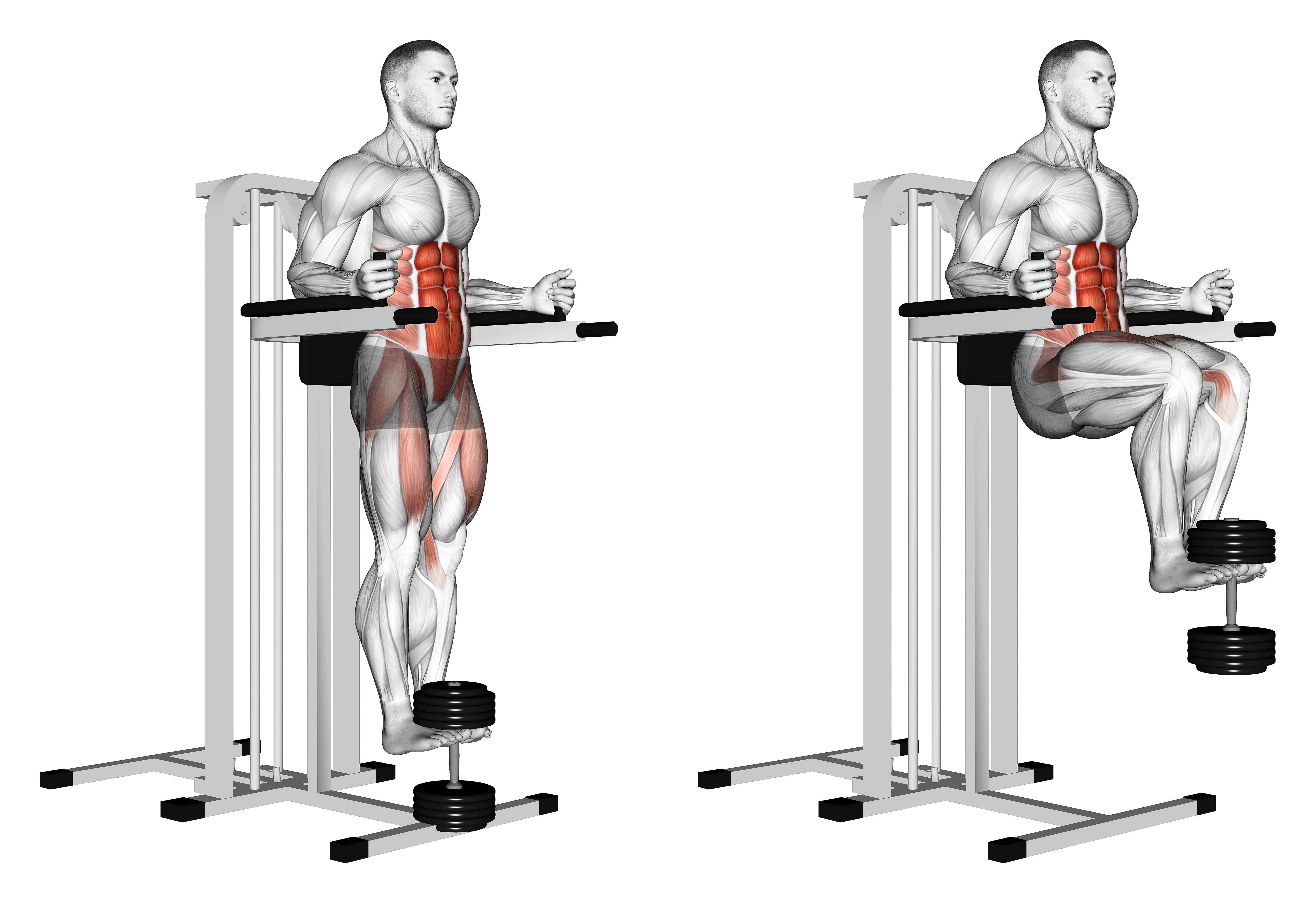 Weighted Captains Chair Leg Raise