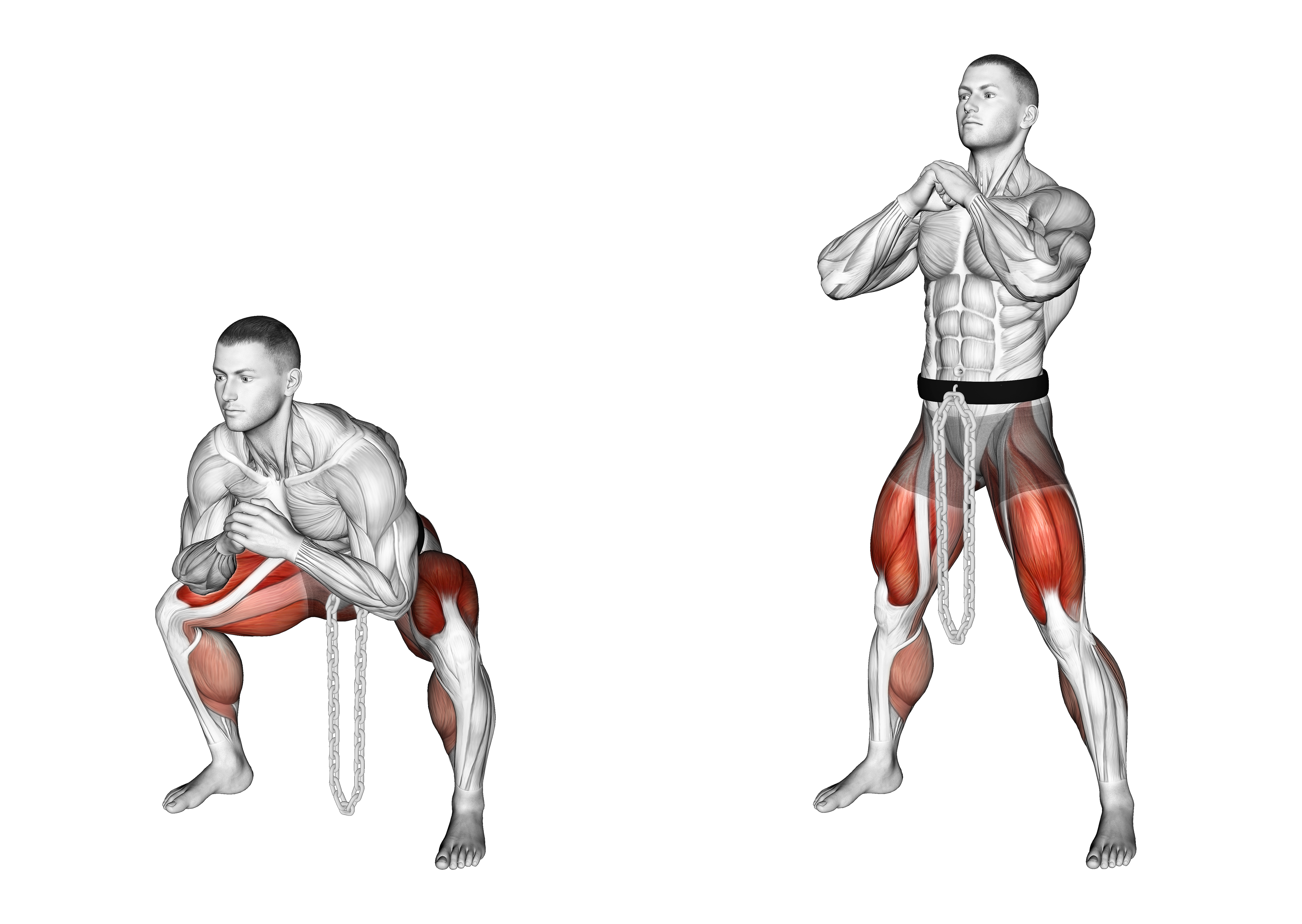 Weighted Chain Sumo Deadlift