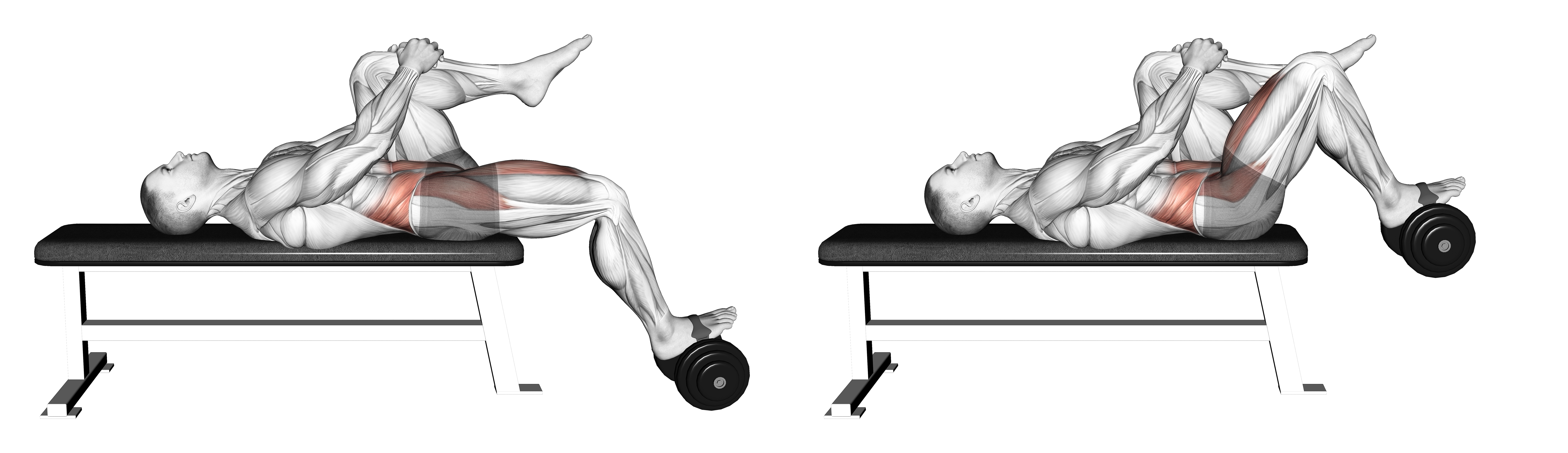 Weighted Dumbbell Lying Knee Raise