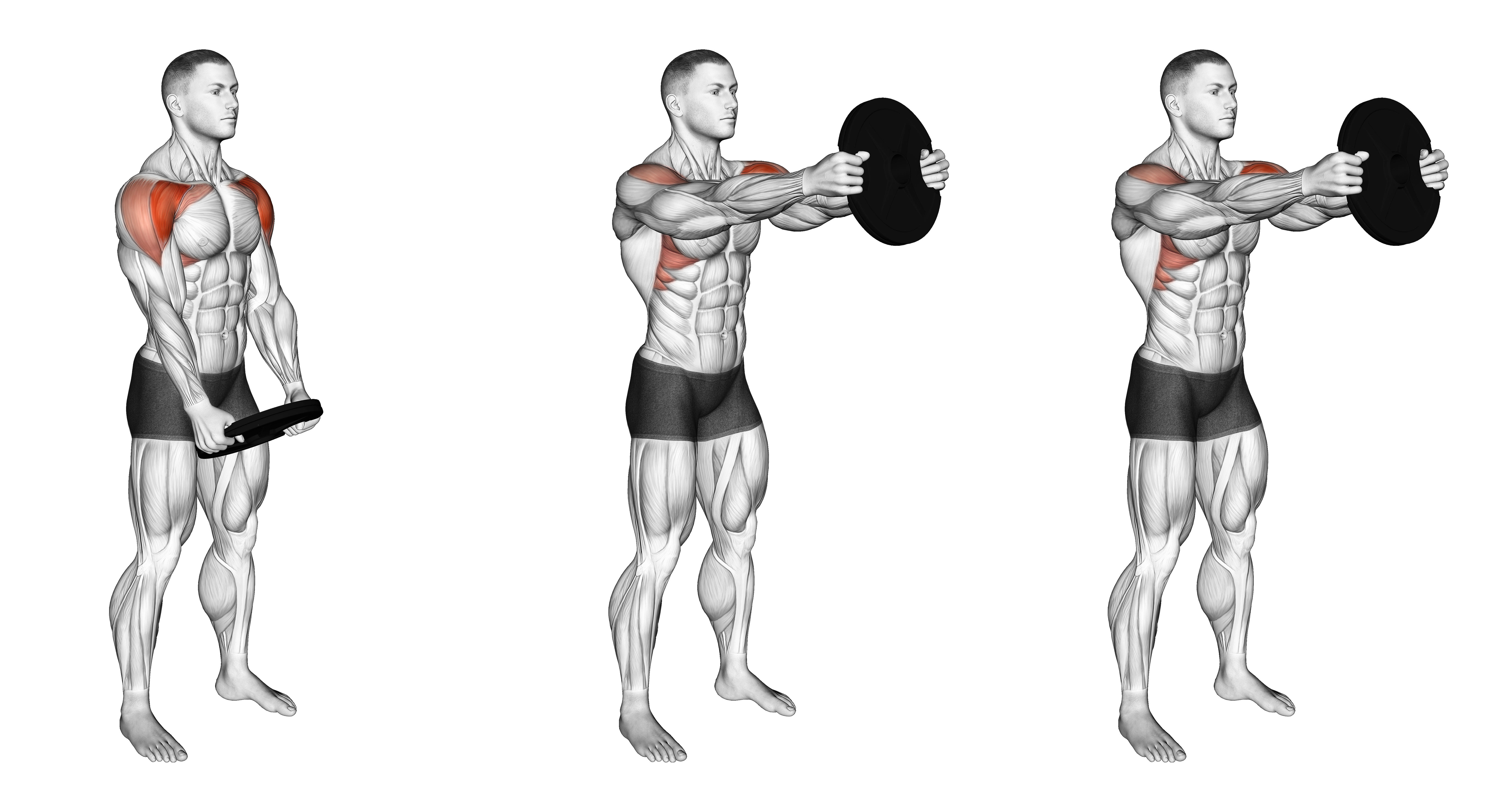 Weighted Front Raise Hold