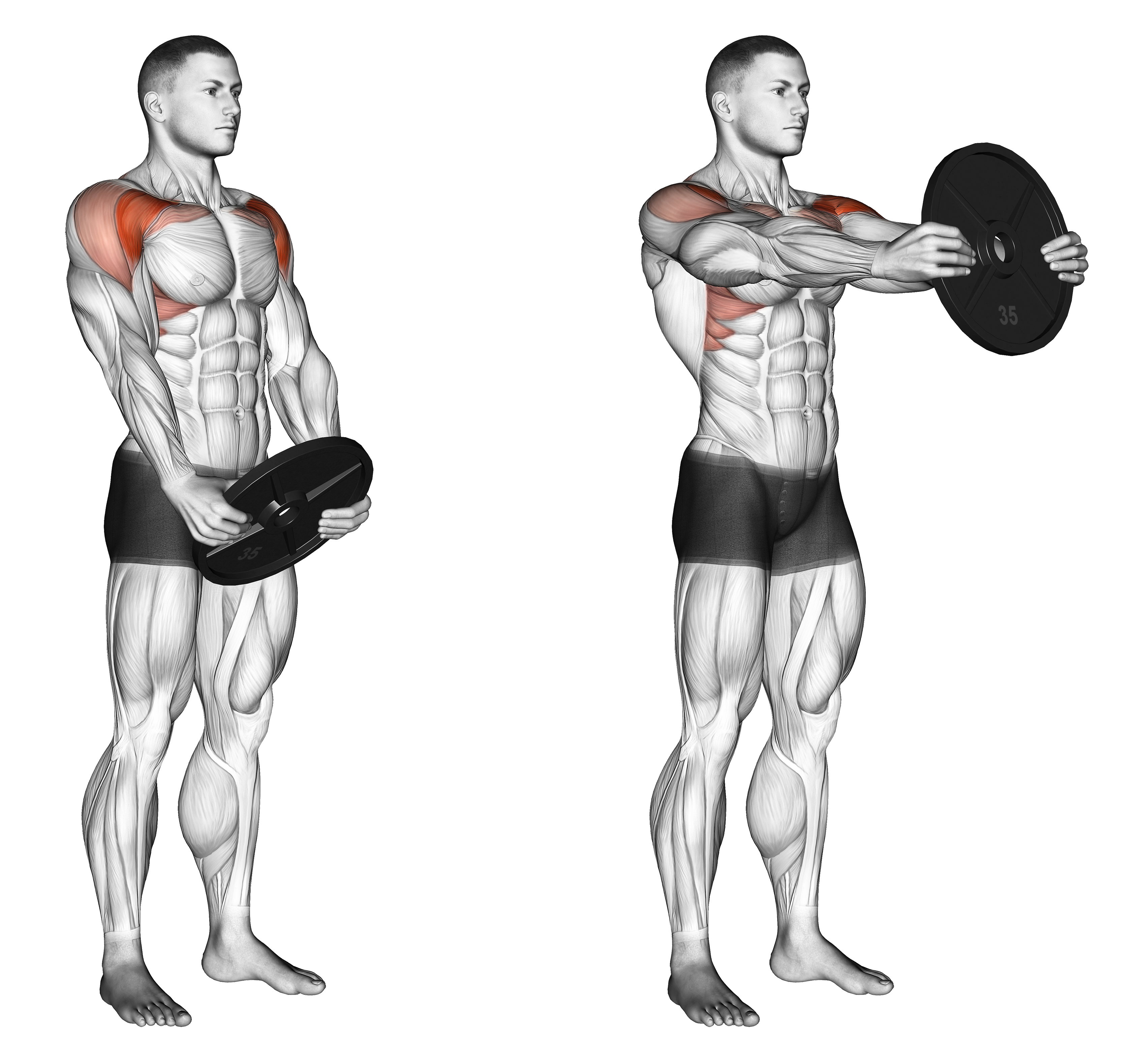 Weighted Front Raise