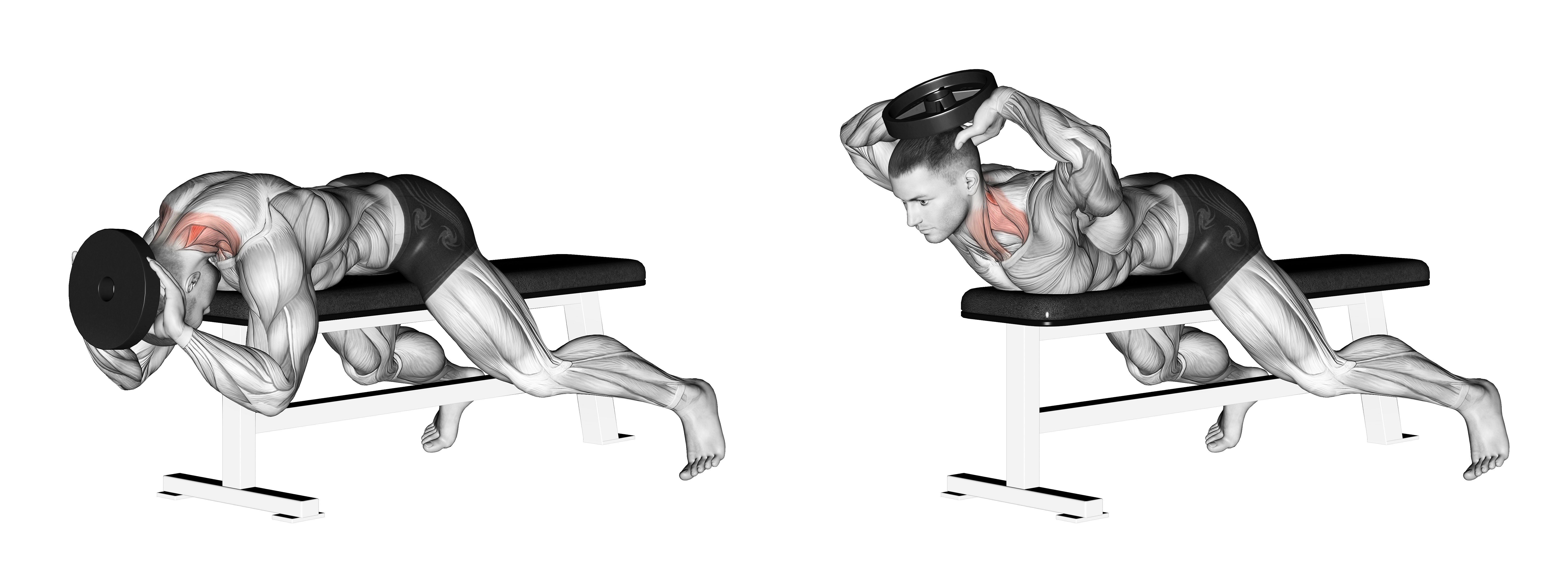 Weighted Lying Neck Extension