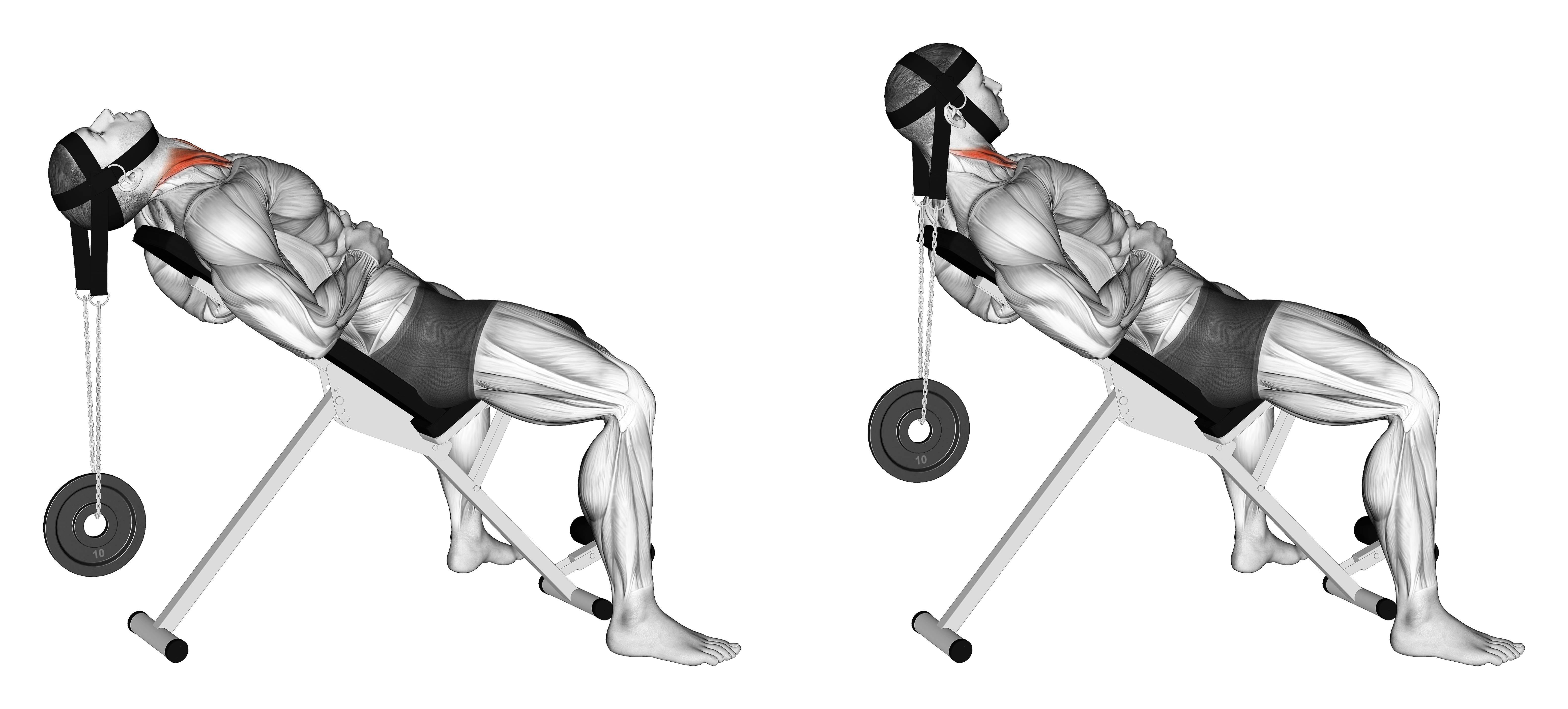 Weighted Lying Neck Flexion (with Head Harness)