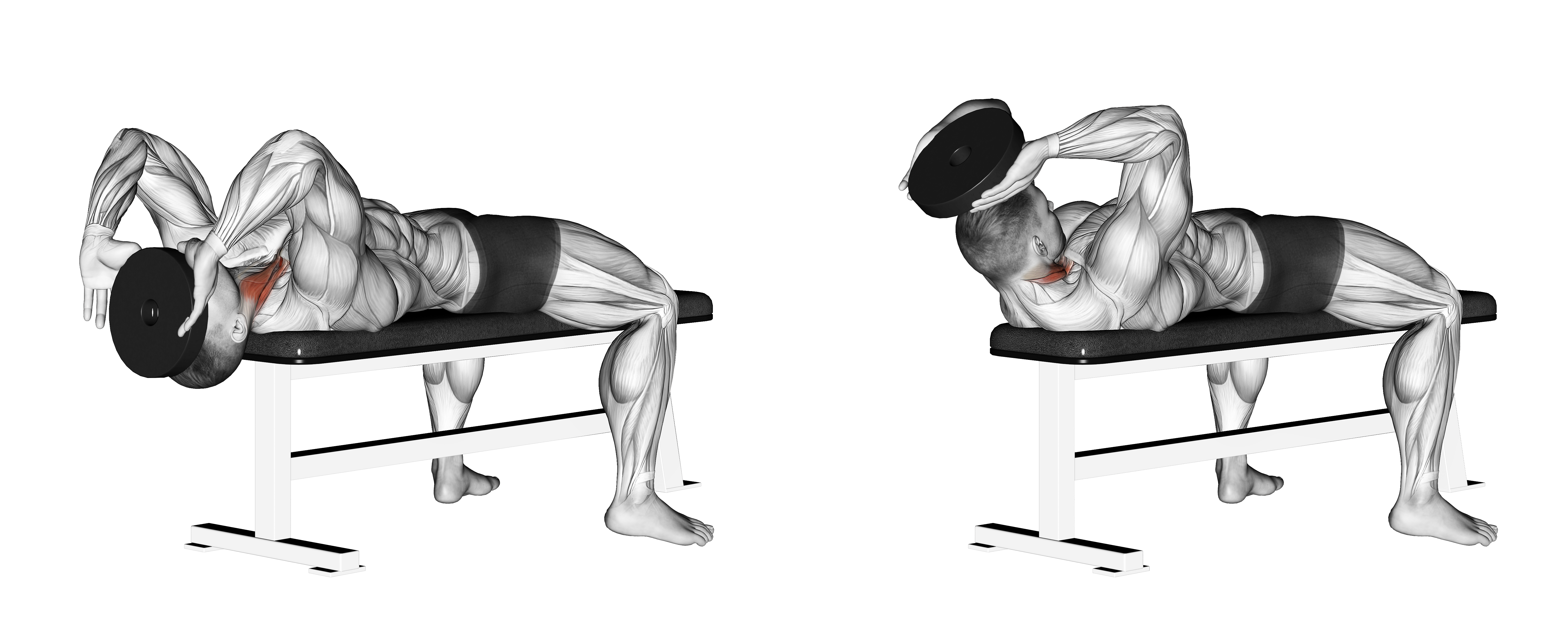Weighted Lying Neck Flexion