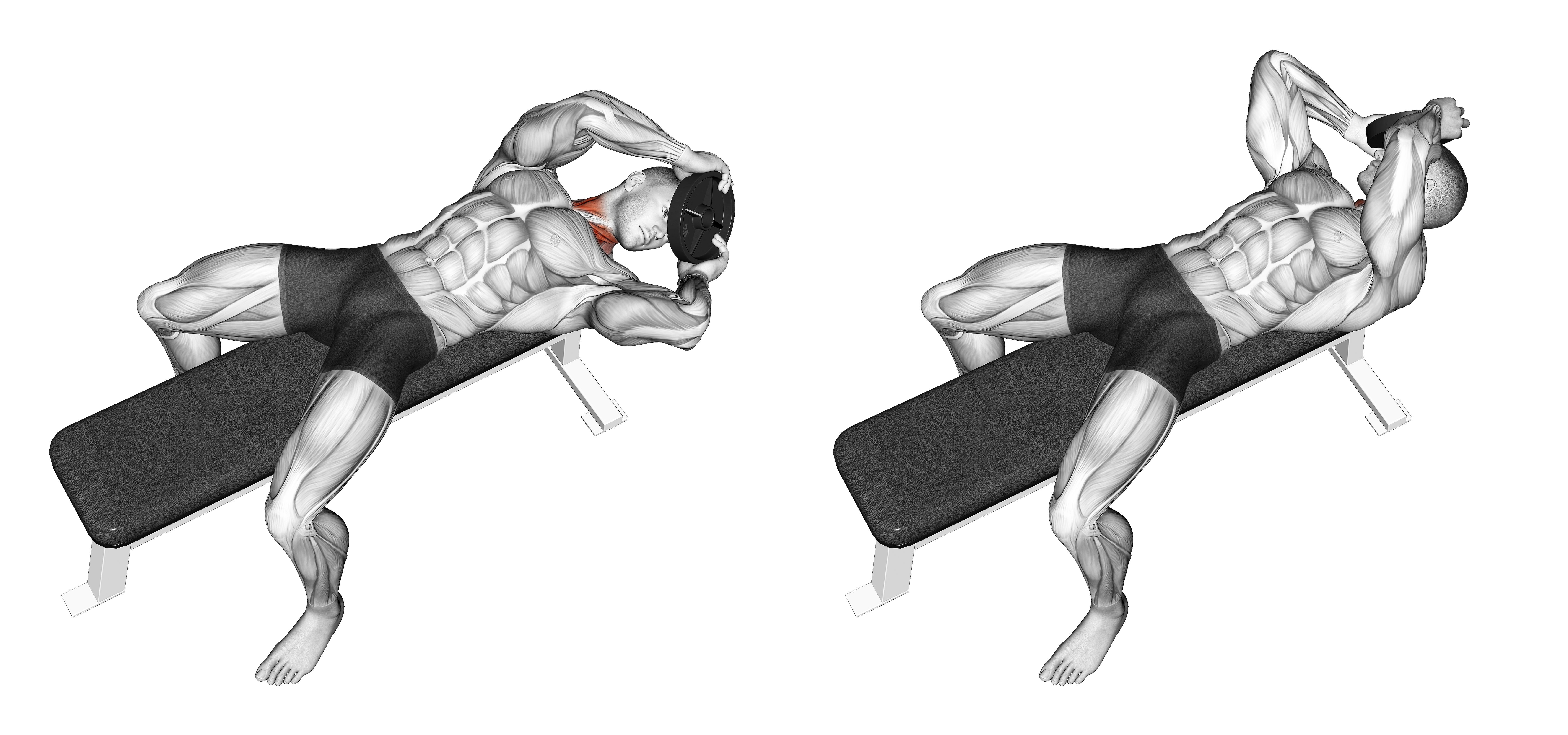 Weighted Lying Neck Head Twist
