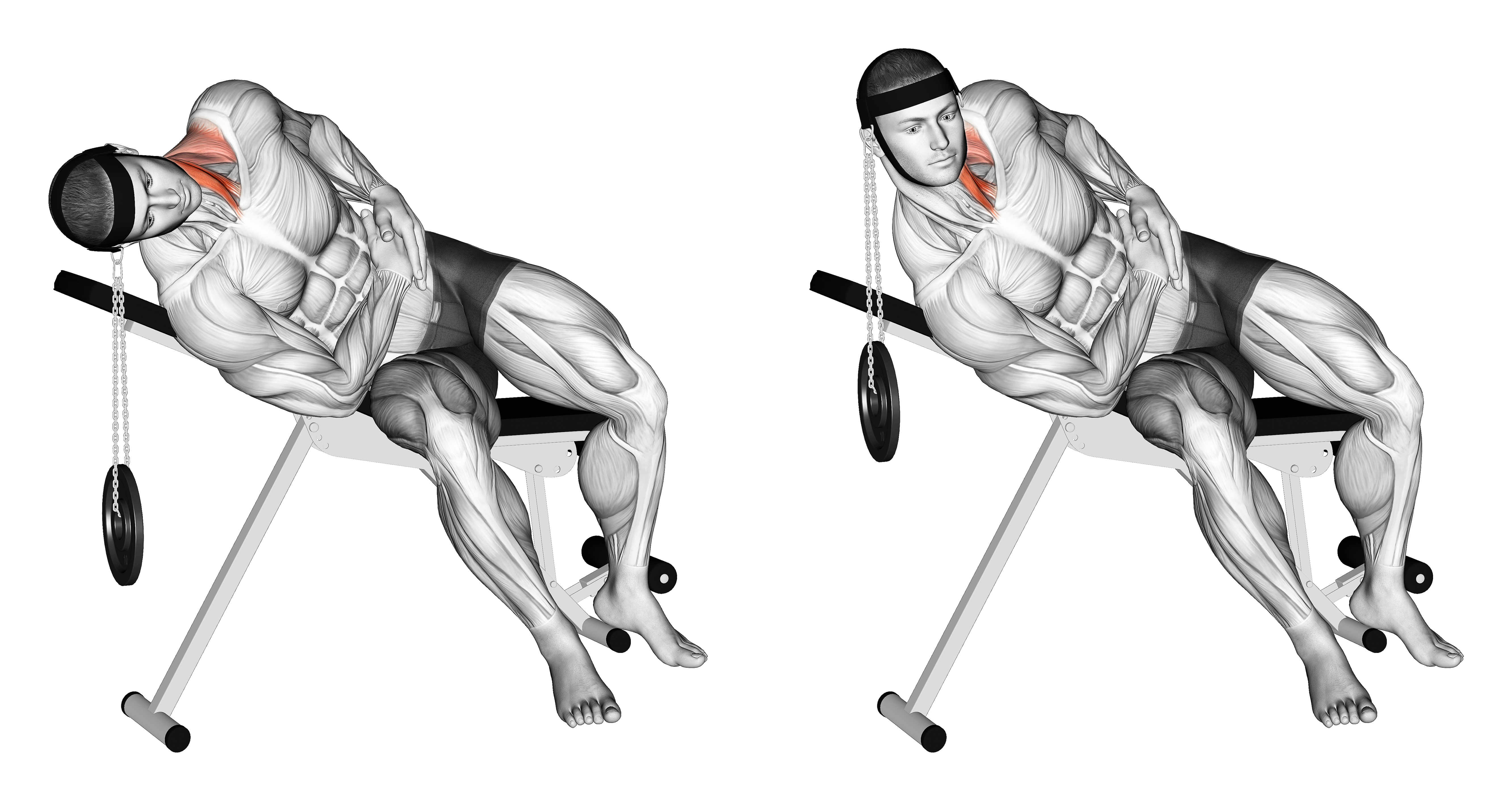 Weighted Lying Side Lifting Head (with Head Harness)