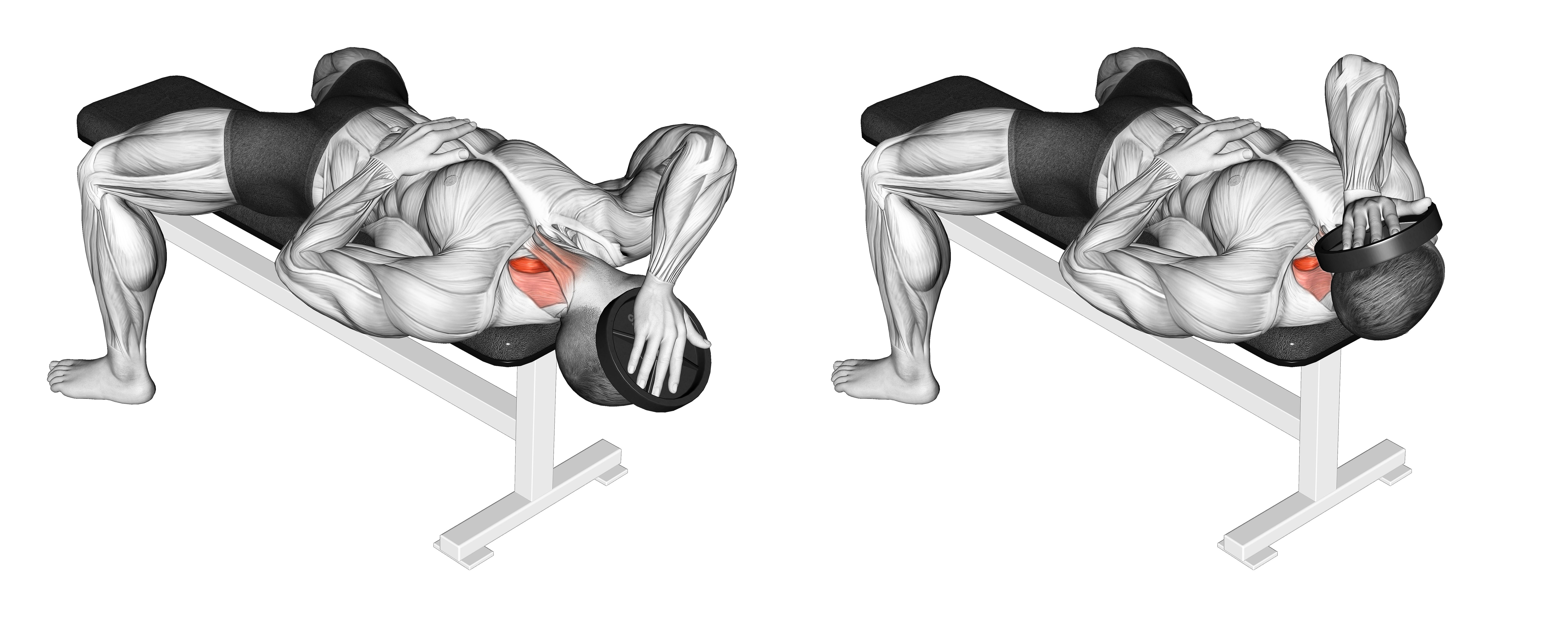 Weighted Lying Side Neck Raise