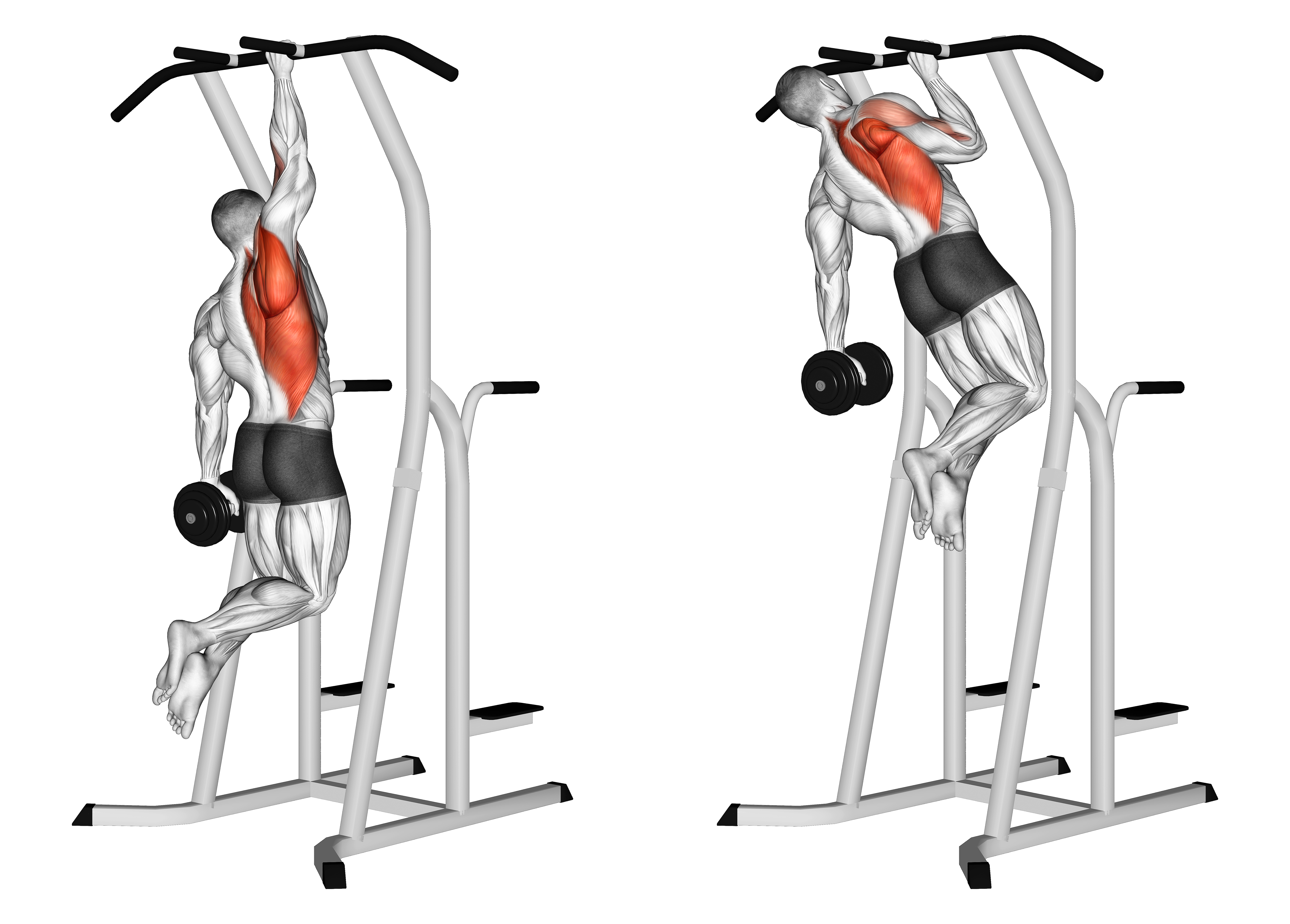 Weighted One Hand Pull Up