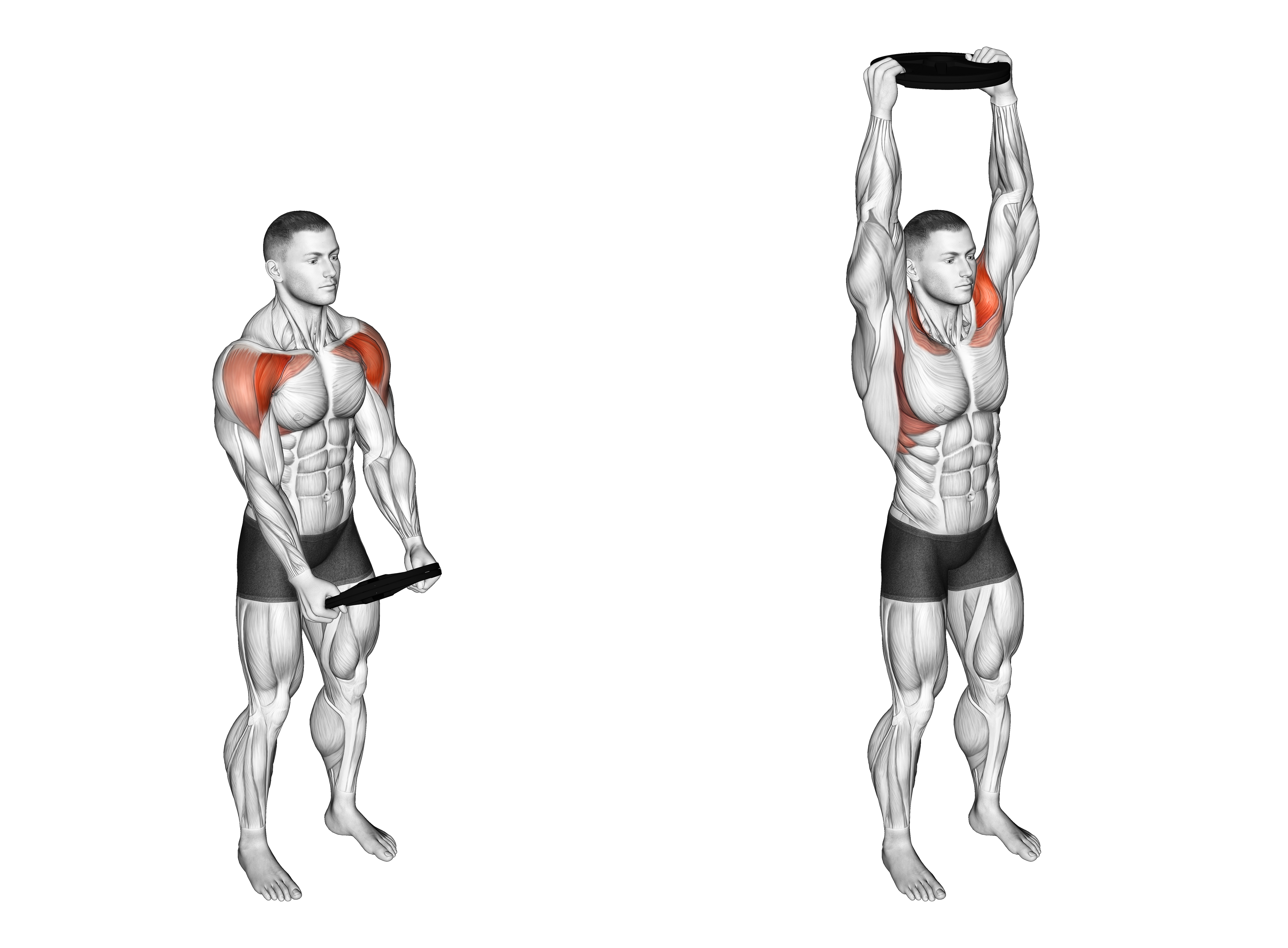 Weighted Plate Standing High Front Raise