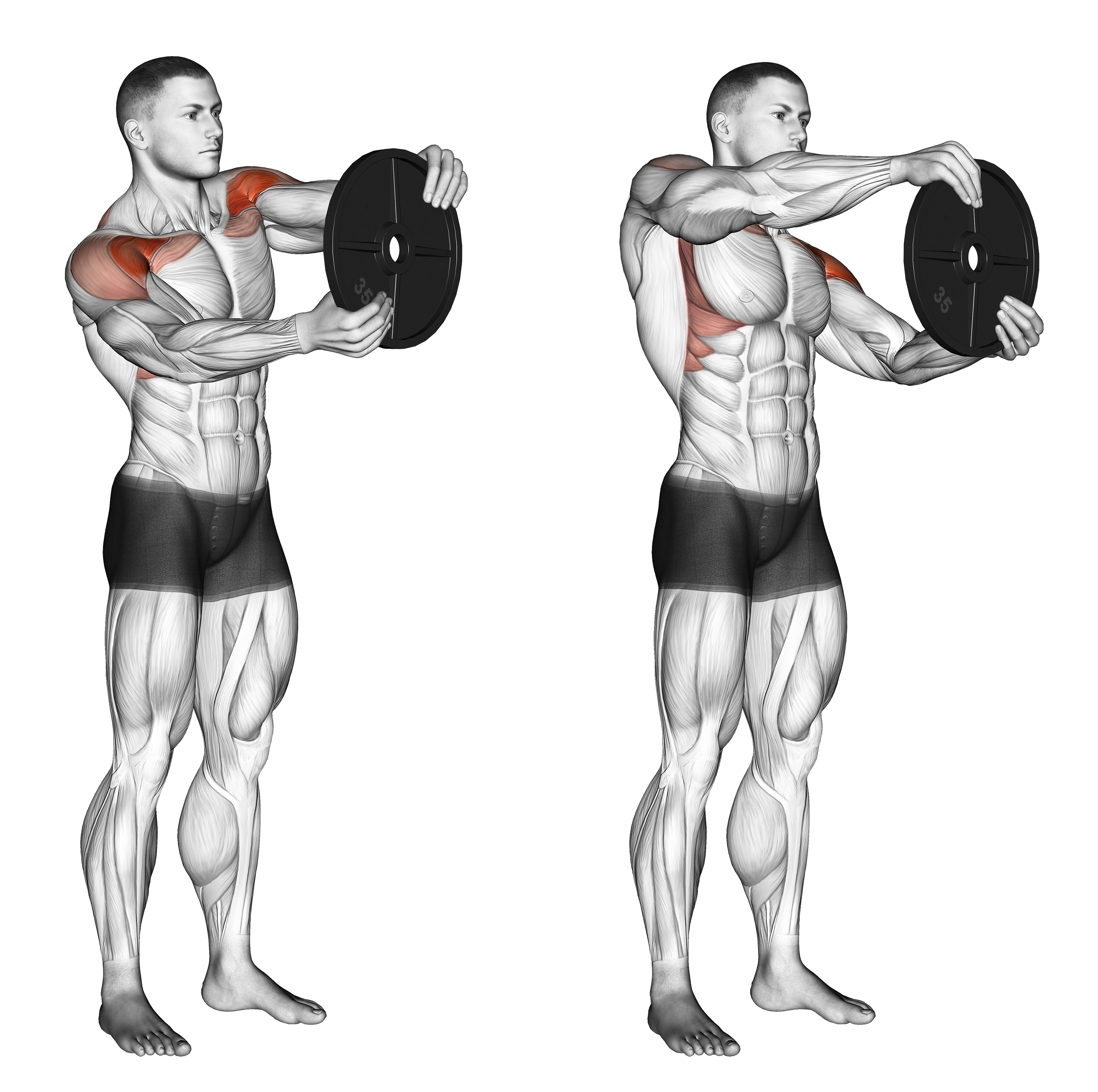 Weighted Round Arm