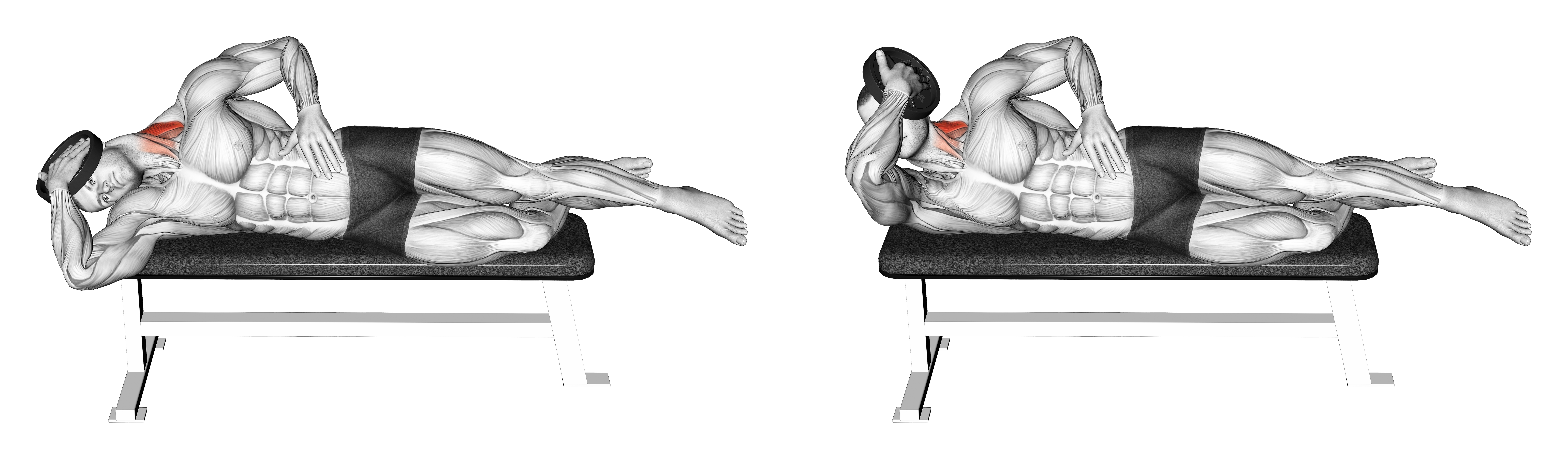 Weighted Side Lying Side Neck Raise