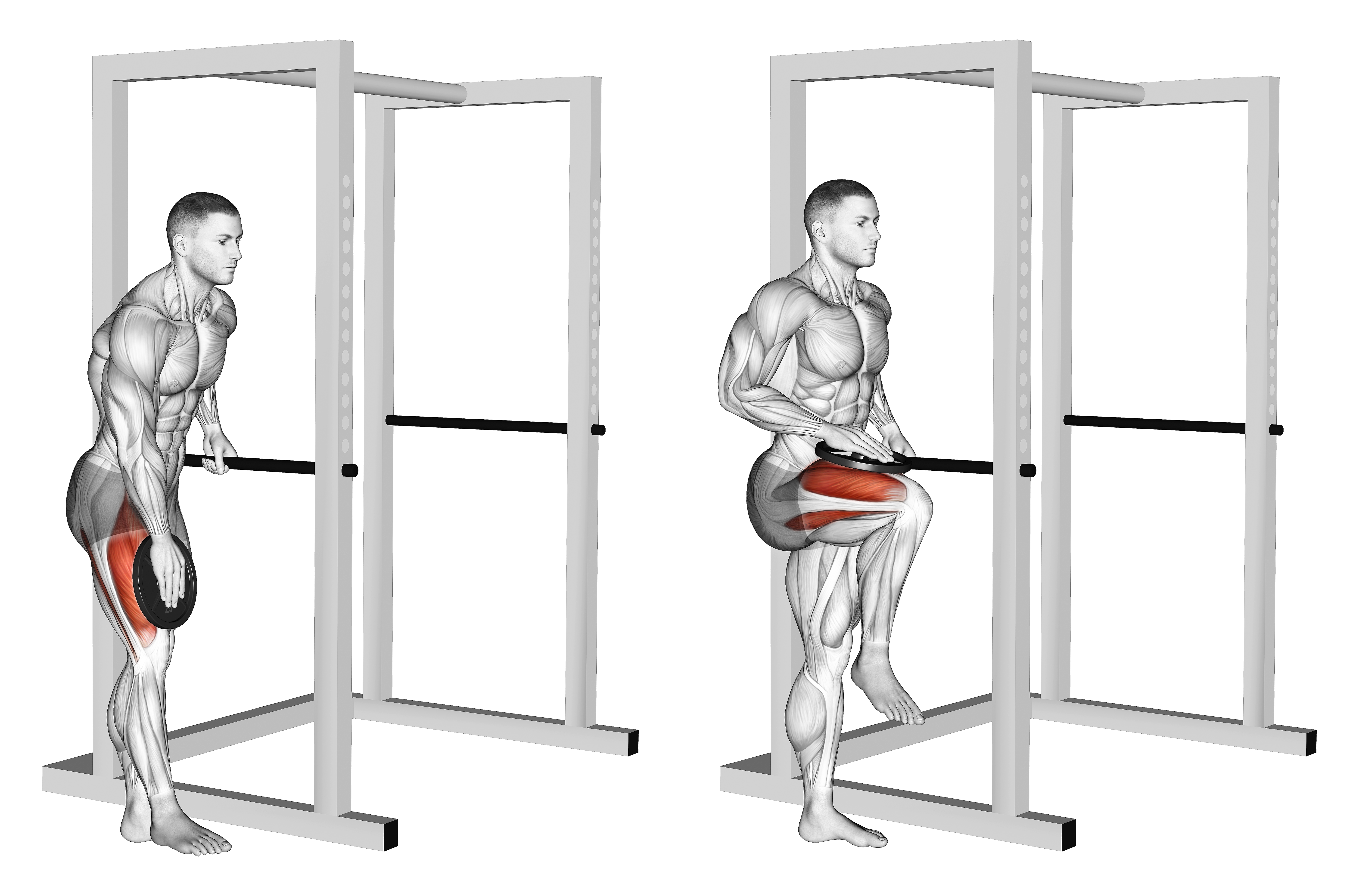 Weighted Single Leg Lift
