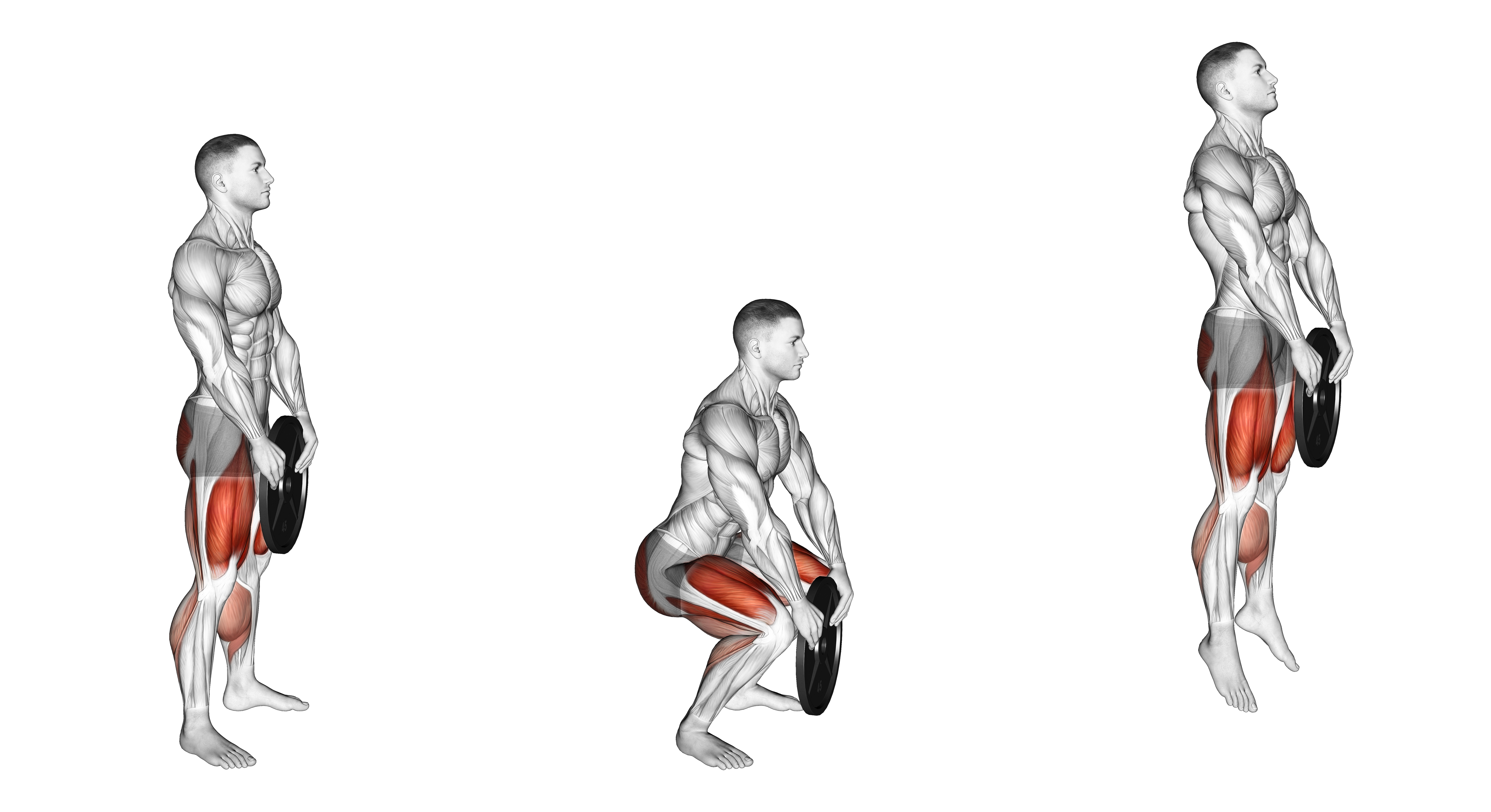 Weighted Squat Jump With Plate